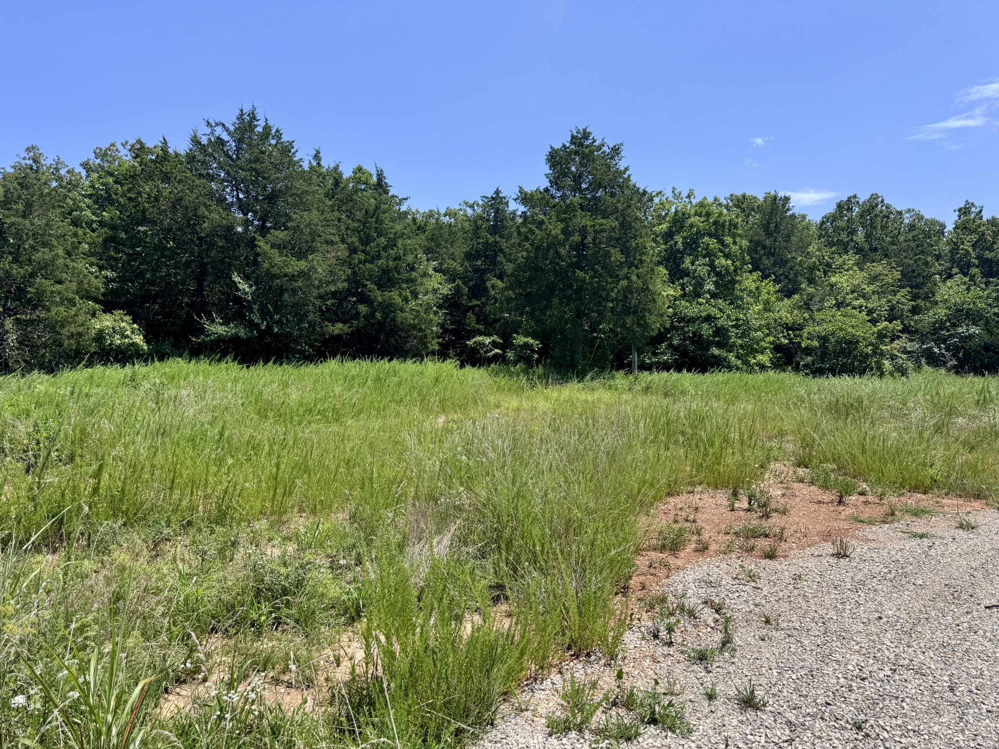 LAND FOR SALE IN NORTH CENTRAL ARKANSAS
