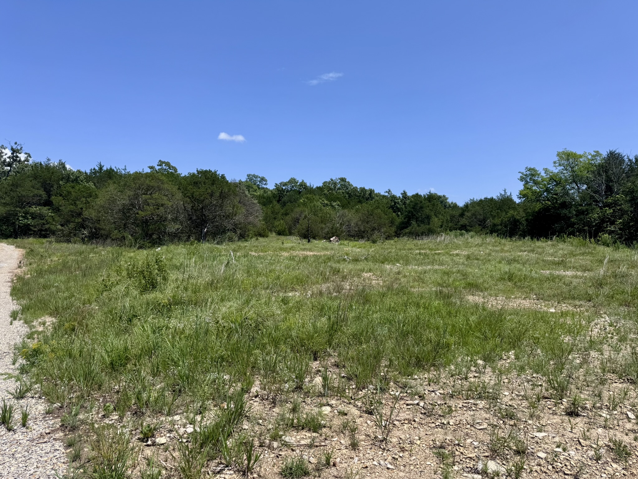 LAND FOR SALE IN NORTH CENTRAL ARKANSAS