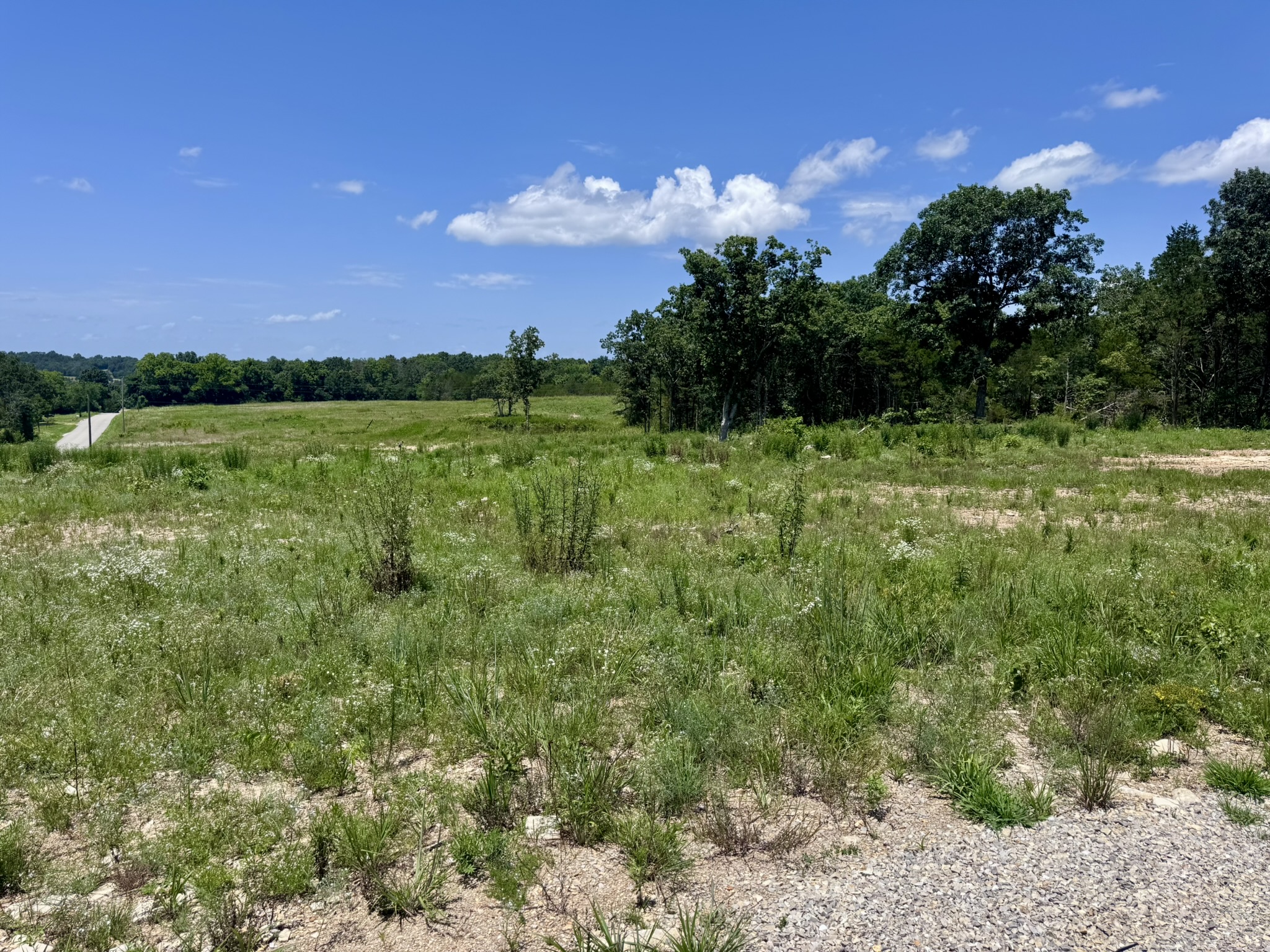 LAND FOR SALE IN NORTH CENTRAL ARKANSAS