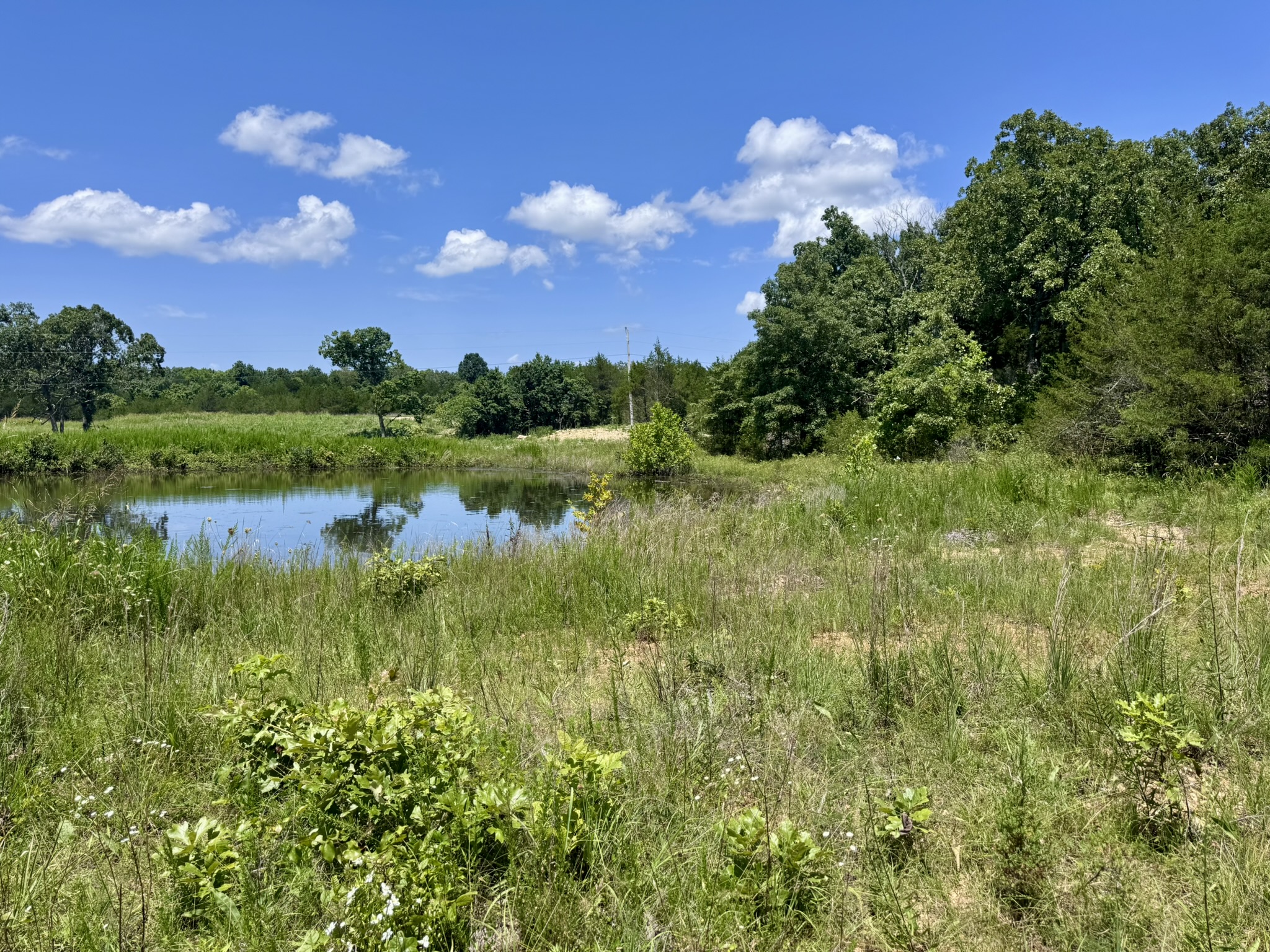 LAND FOR SALE IN NORTH CENTRAL ARKANSAS