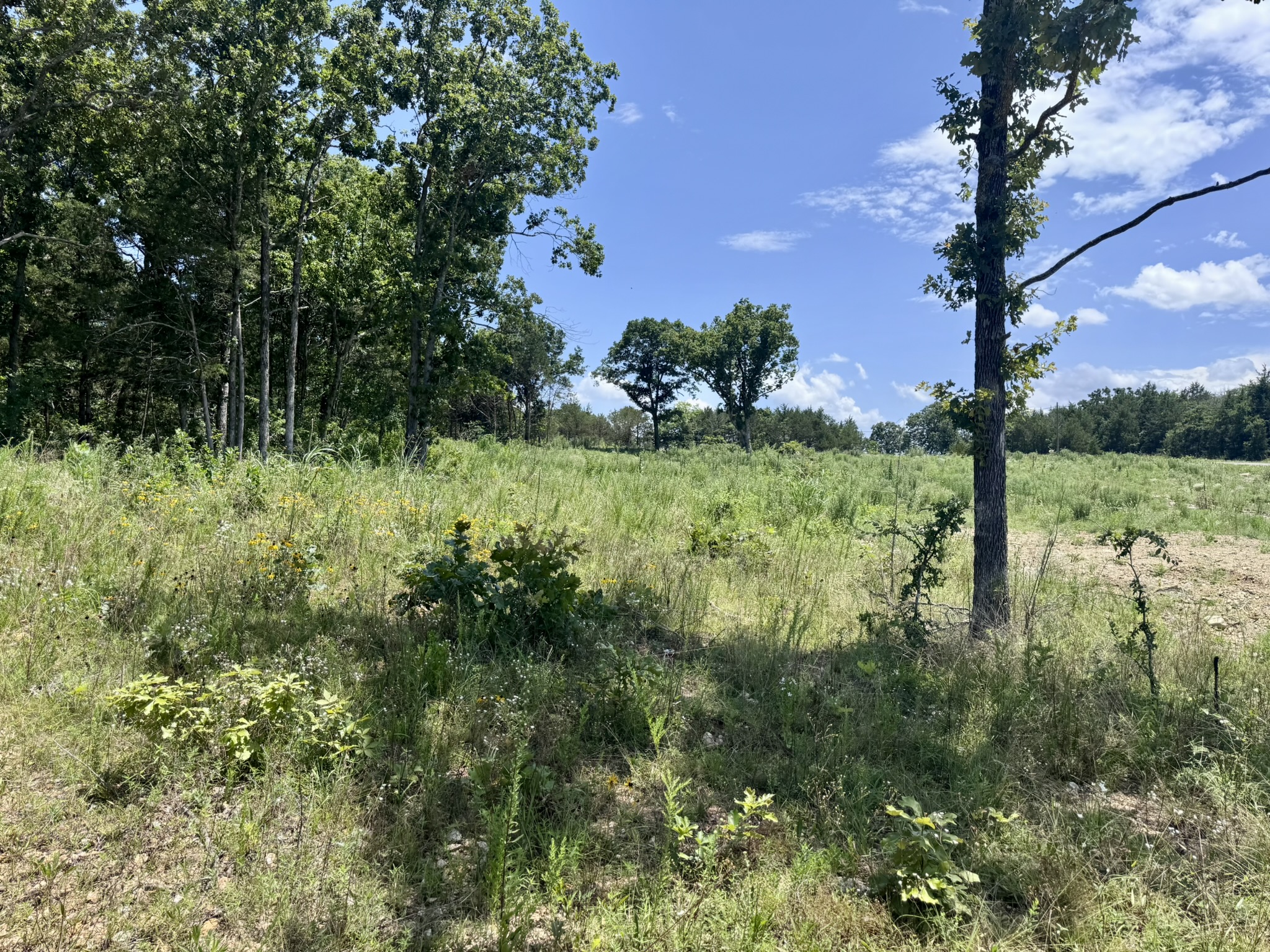LAND FOR SALE IN NORTH CENTRAL ARKANSAS