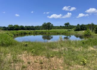 LAND FOR SALE IN NORTH CENTRAL ARKANSAS