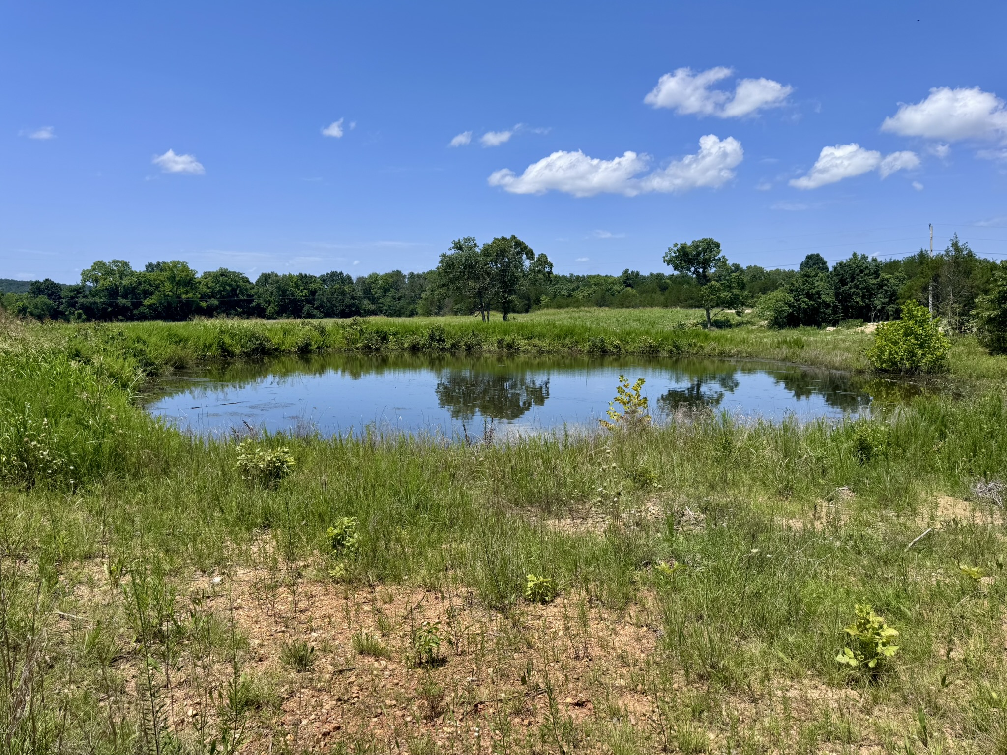 LAND FOR SALE IN NORTH CENTRAL ARKANSAS