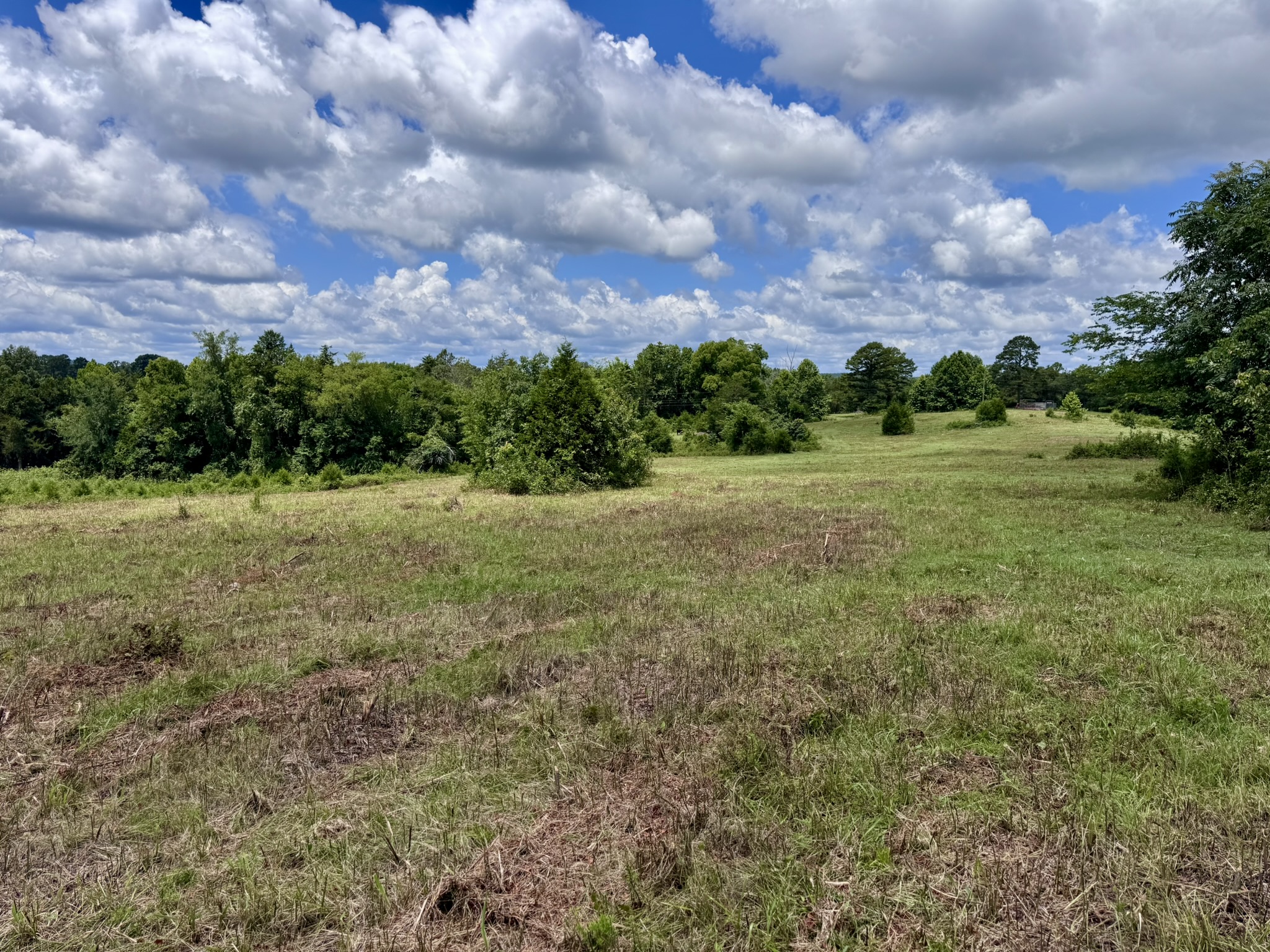 LAND FOR SALE IN THE OZARK MOUNTAINS OF ARKANSAS