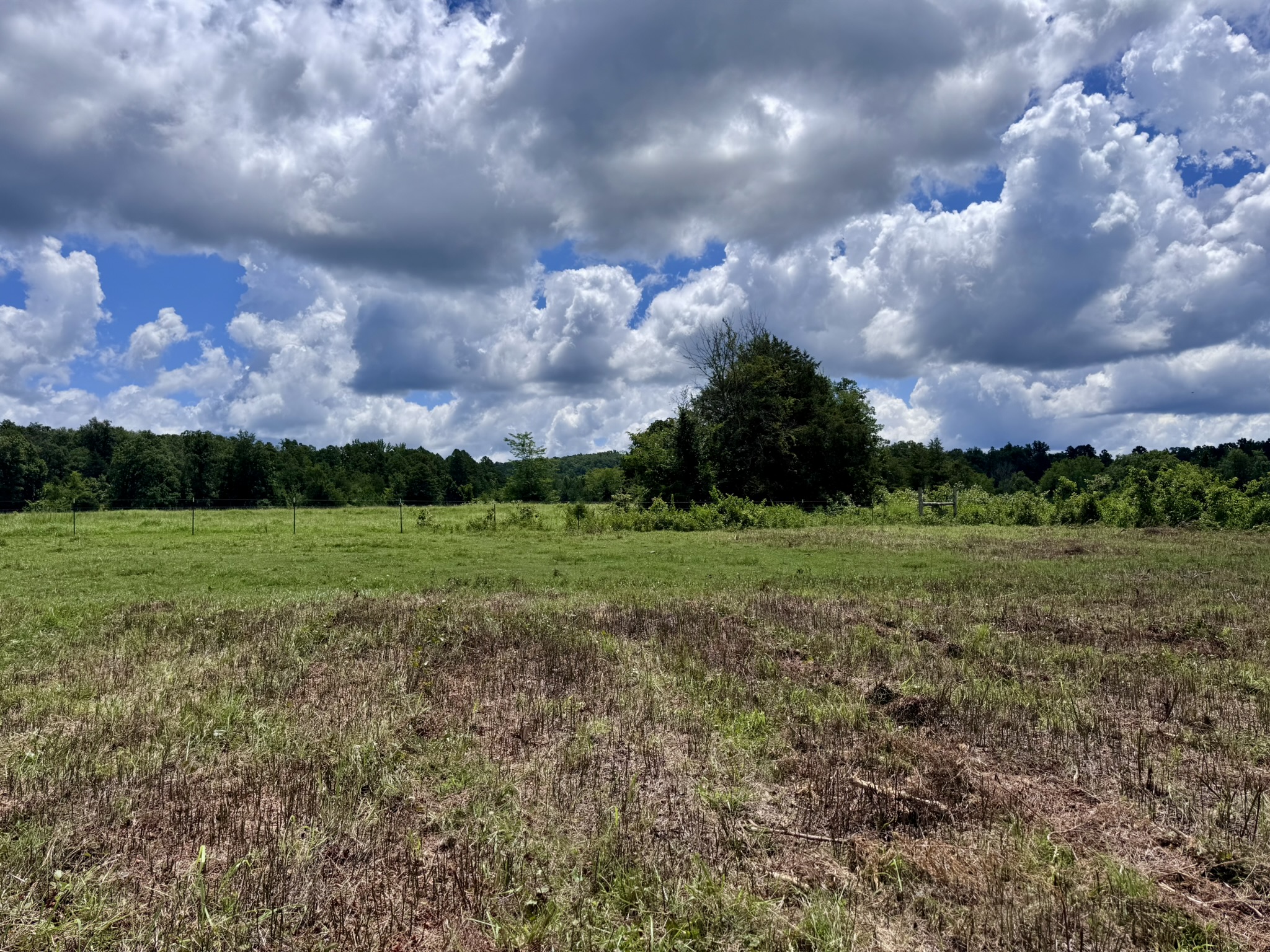 LAND FOR SALE IN THE OZARK MOUNTAINS OF ARKANSAS