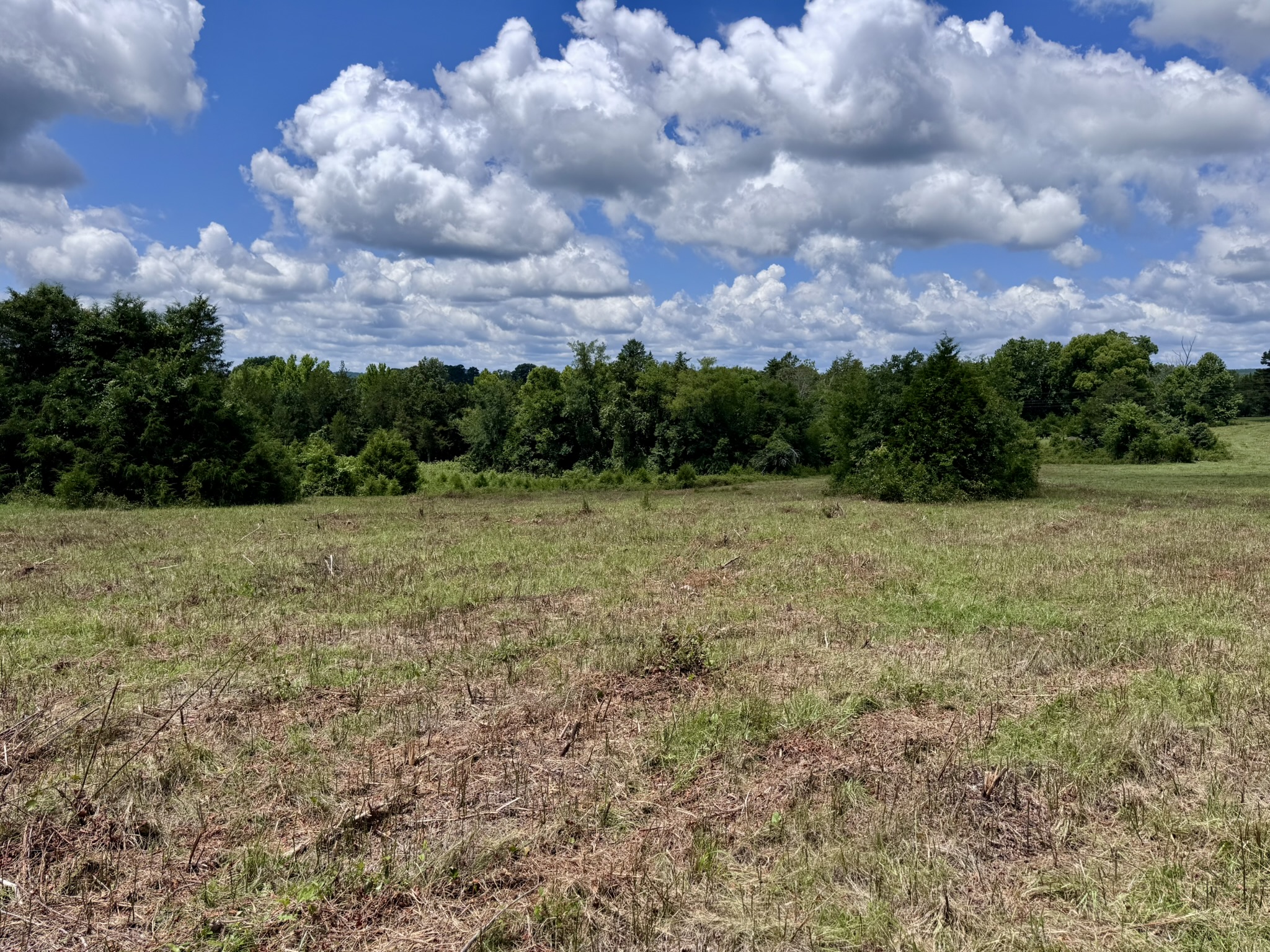 LAND FOR SALE IN THE OZARK MOUNTAINS OF ARKANSAS