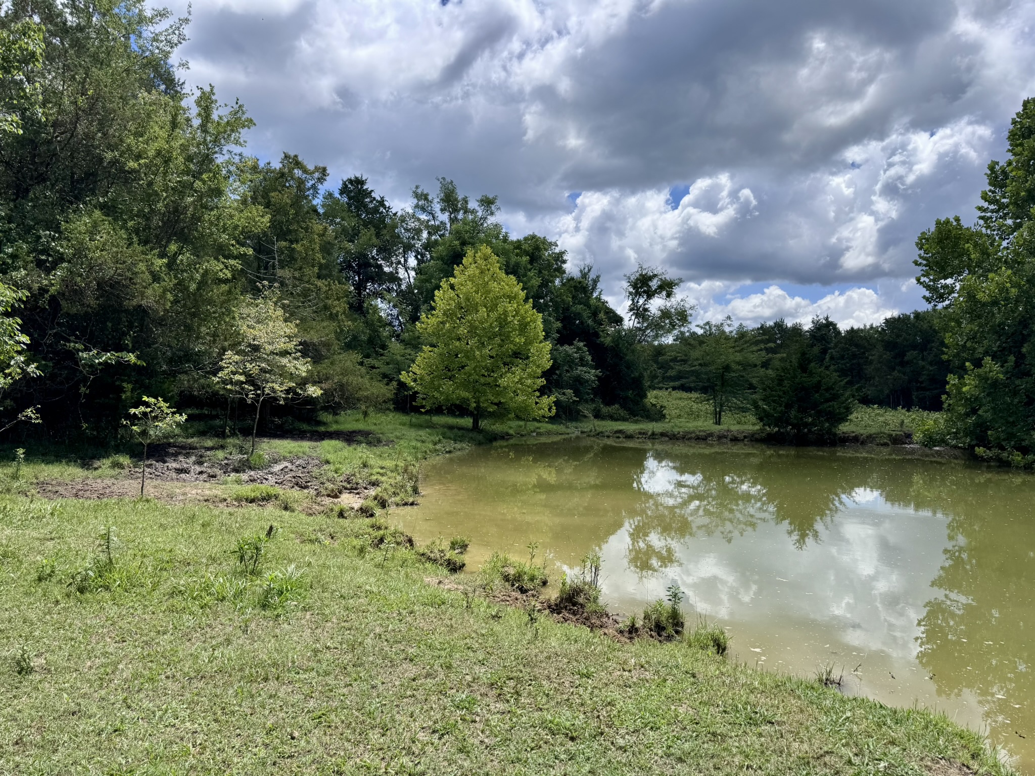 LAND FOR SALE IN THE OZARK MOUNTAINS OF ARKANSAS