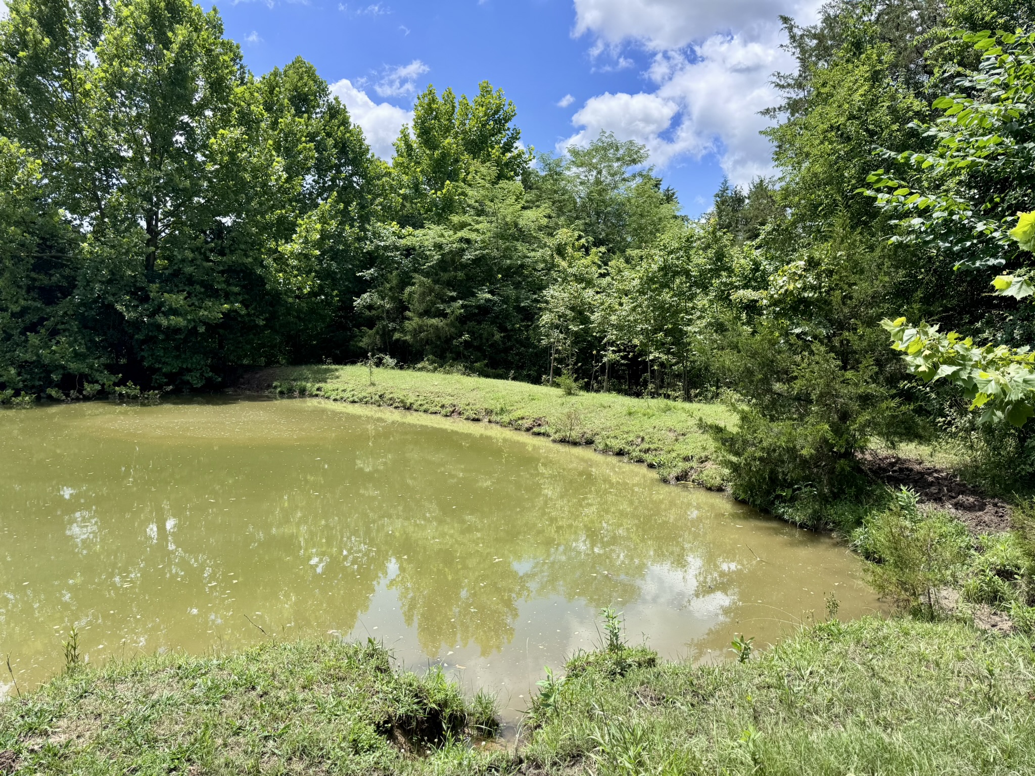 LAND FOR SALE IN THE OZARK MOUNTAINS OF ARKANSAS