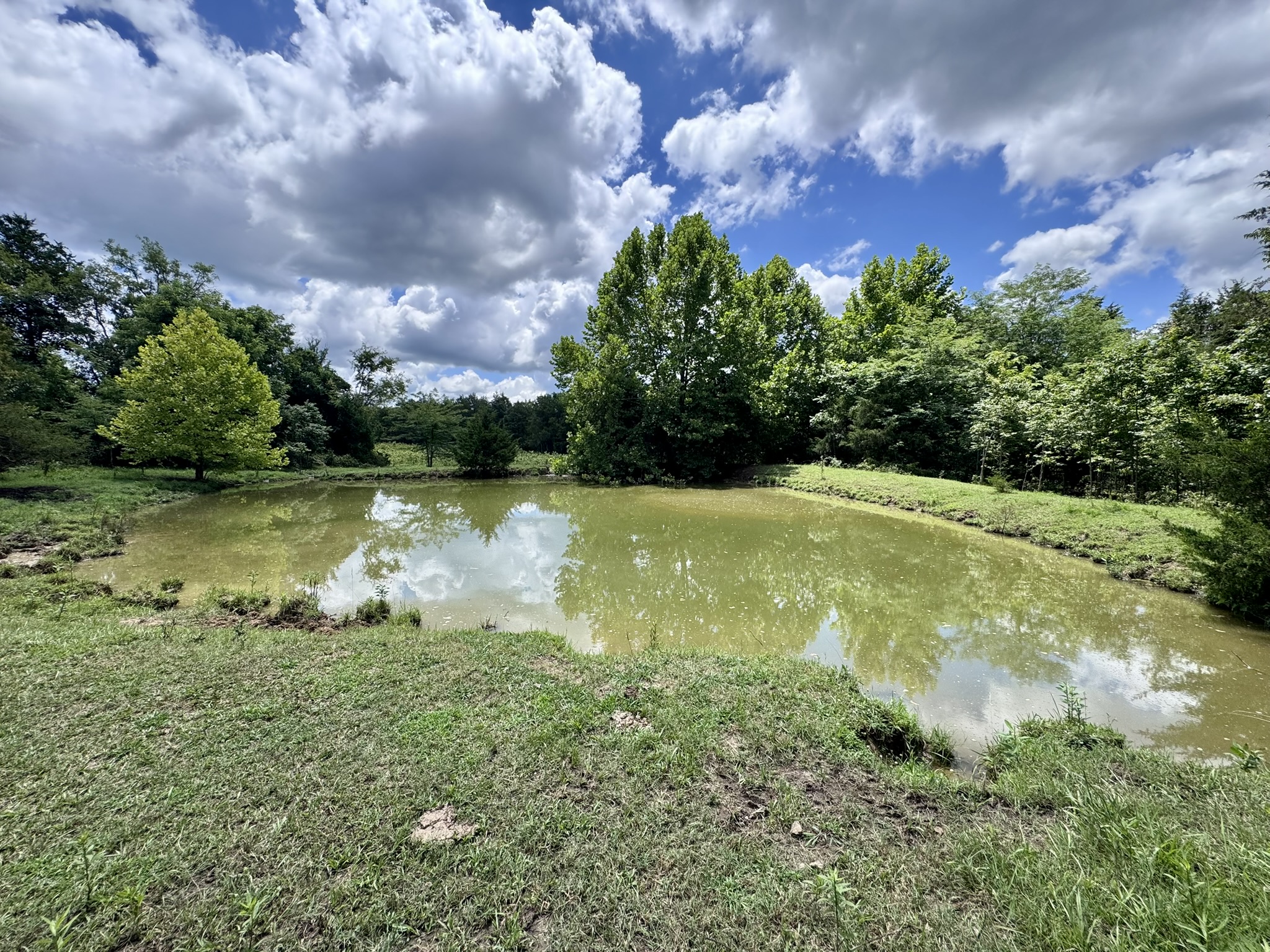 LAND FOR SALE IN THE OZARK MOUNTAINS OF ARKANSAS