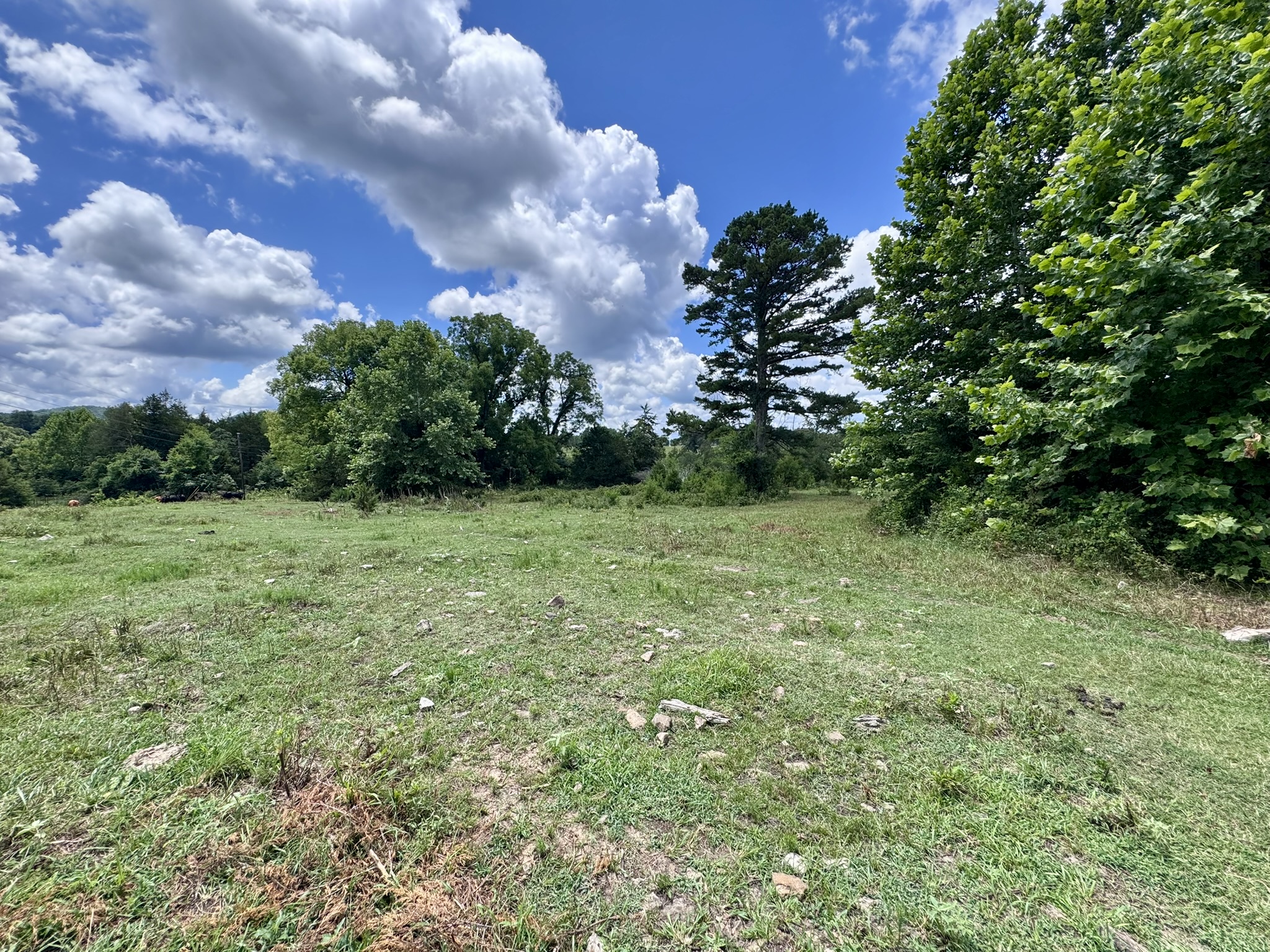 LAND FOR SALE IN THE OZARK MOUNTAINS OF ARKANSAS