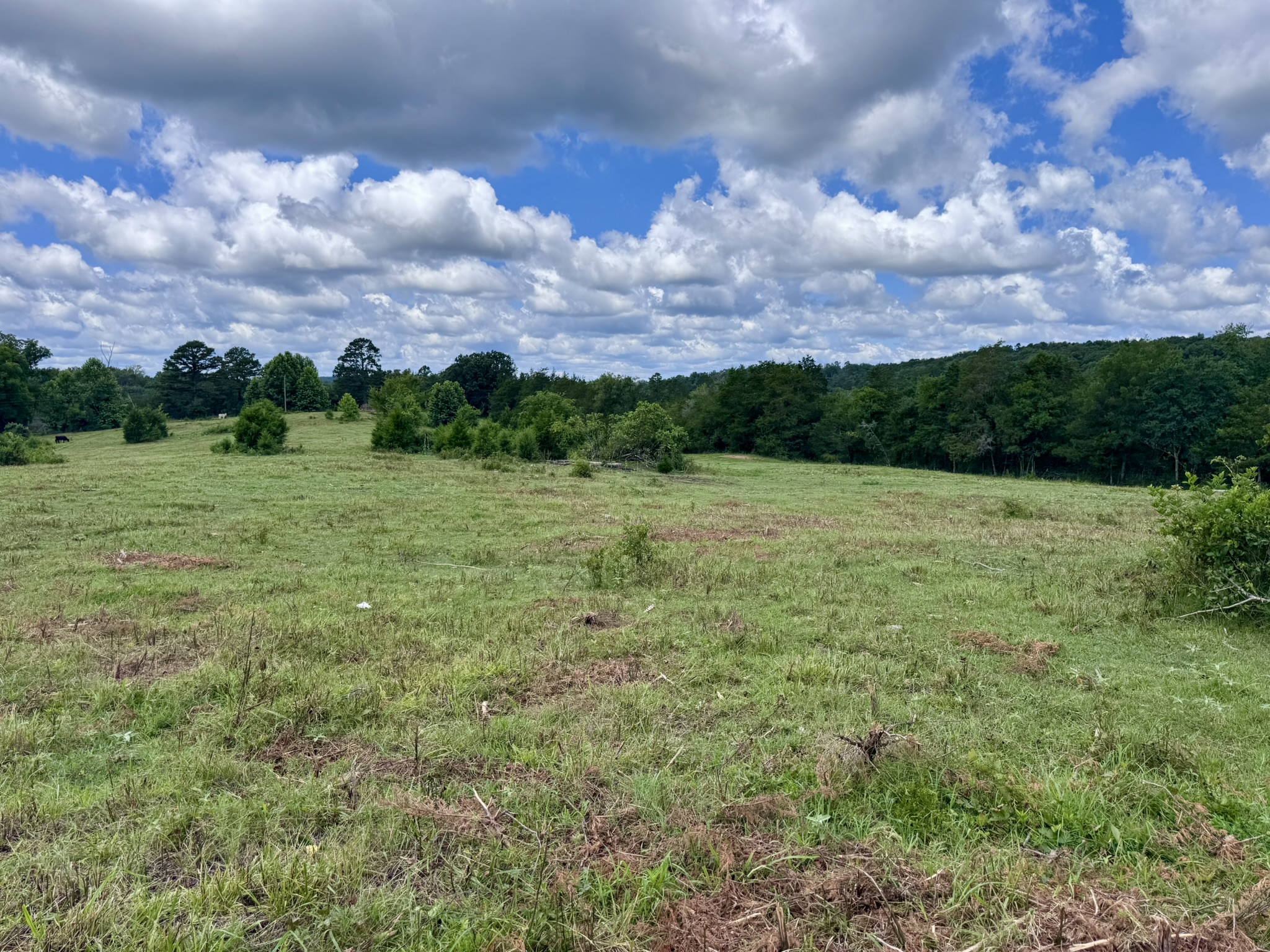 LAND FOR SALE IN THE OZARK MOUNTAINS OF ARKANSAS