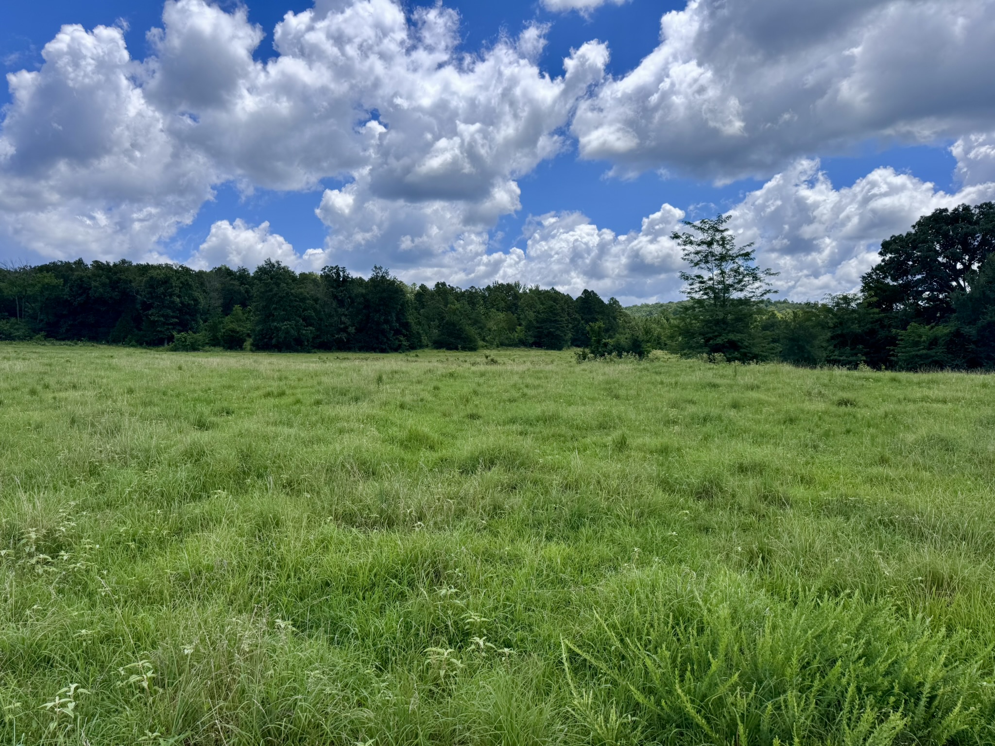 LAND FOR SALE IN THE OZARK MOUNTAINS OF ARKANSAS