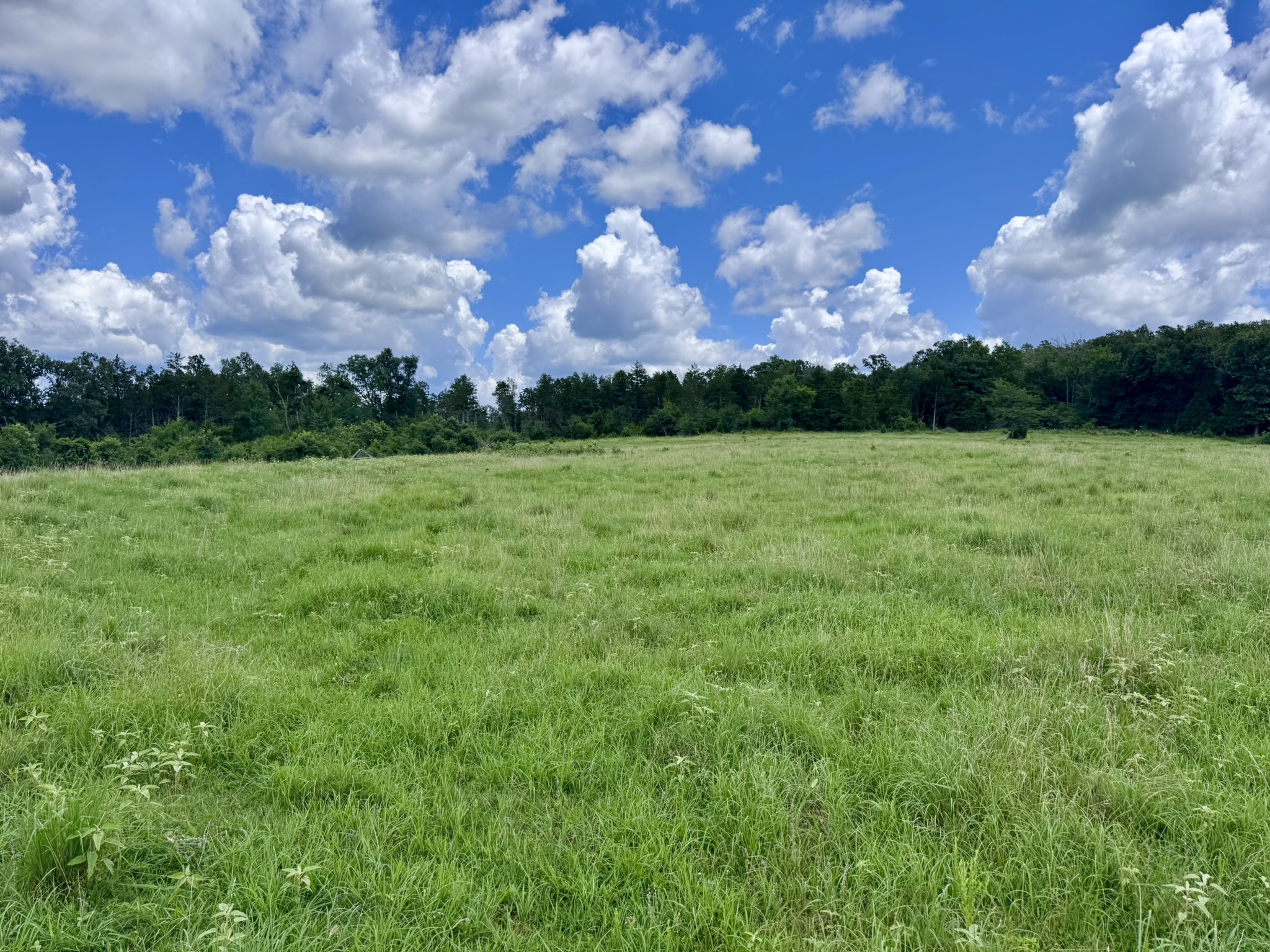 LAND FOR SALE IN THE OZARK MOUNTAINS OF ARKANSAS