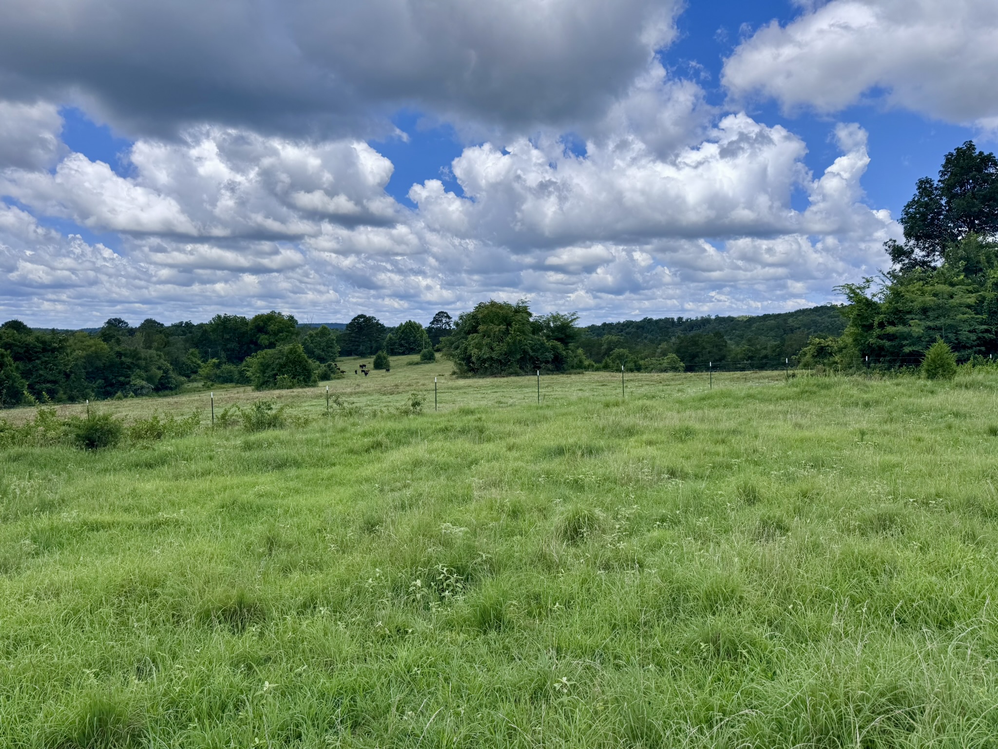 LAND FOR SALE IN THE OZARK MOUNTAINS OF ARKANSAS
