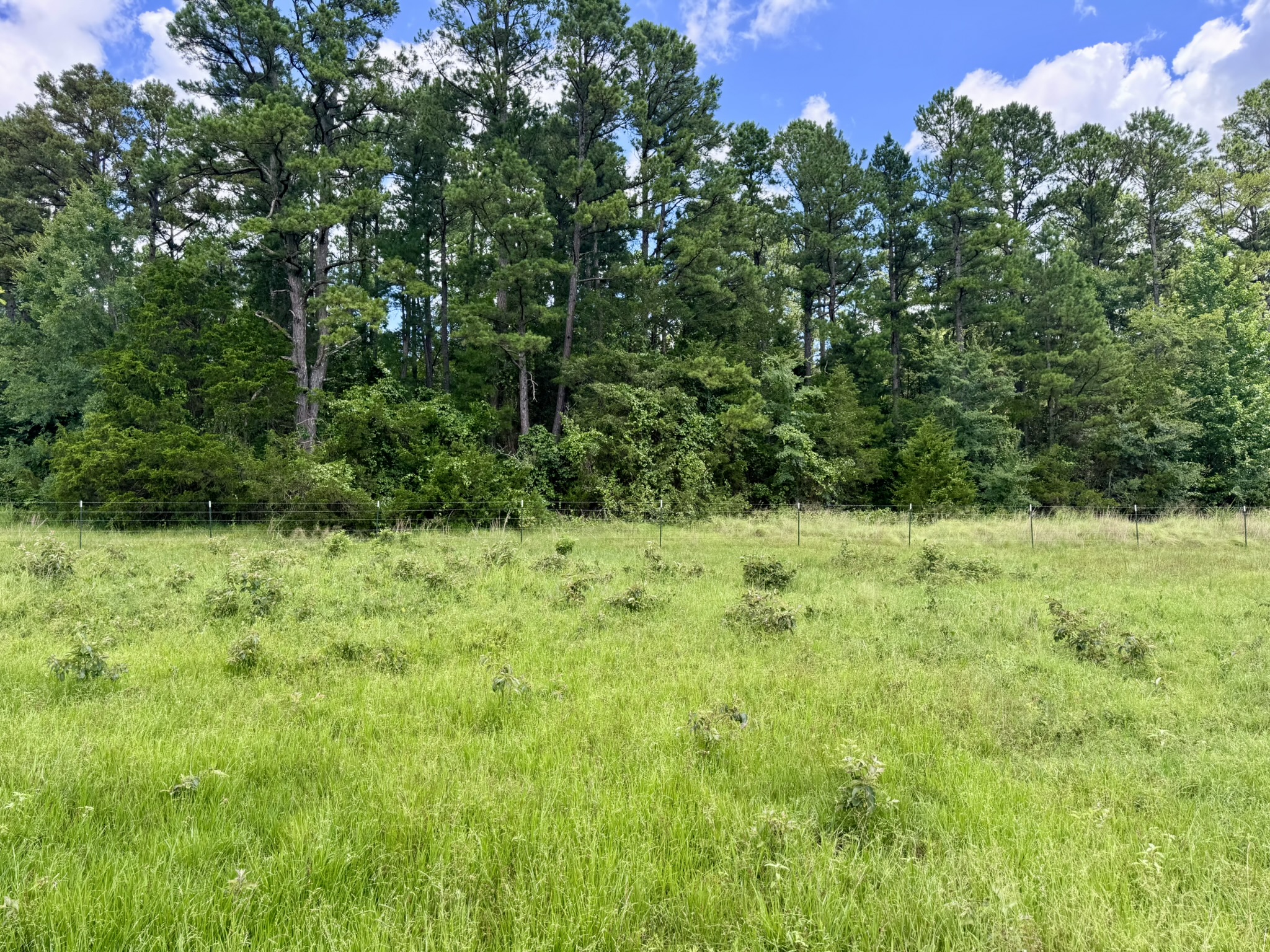 LAND FOR SALE IN THE OZARK MOUNTAINS OF ARKANSAS
