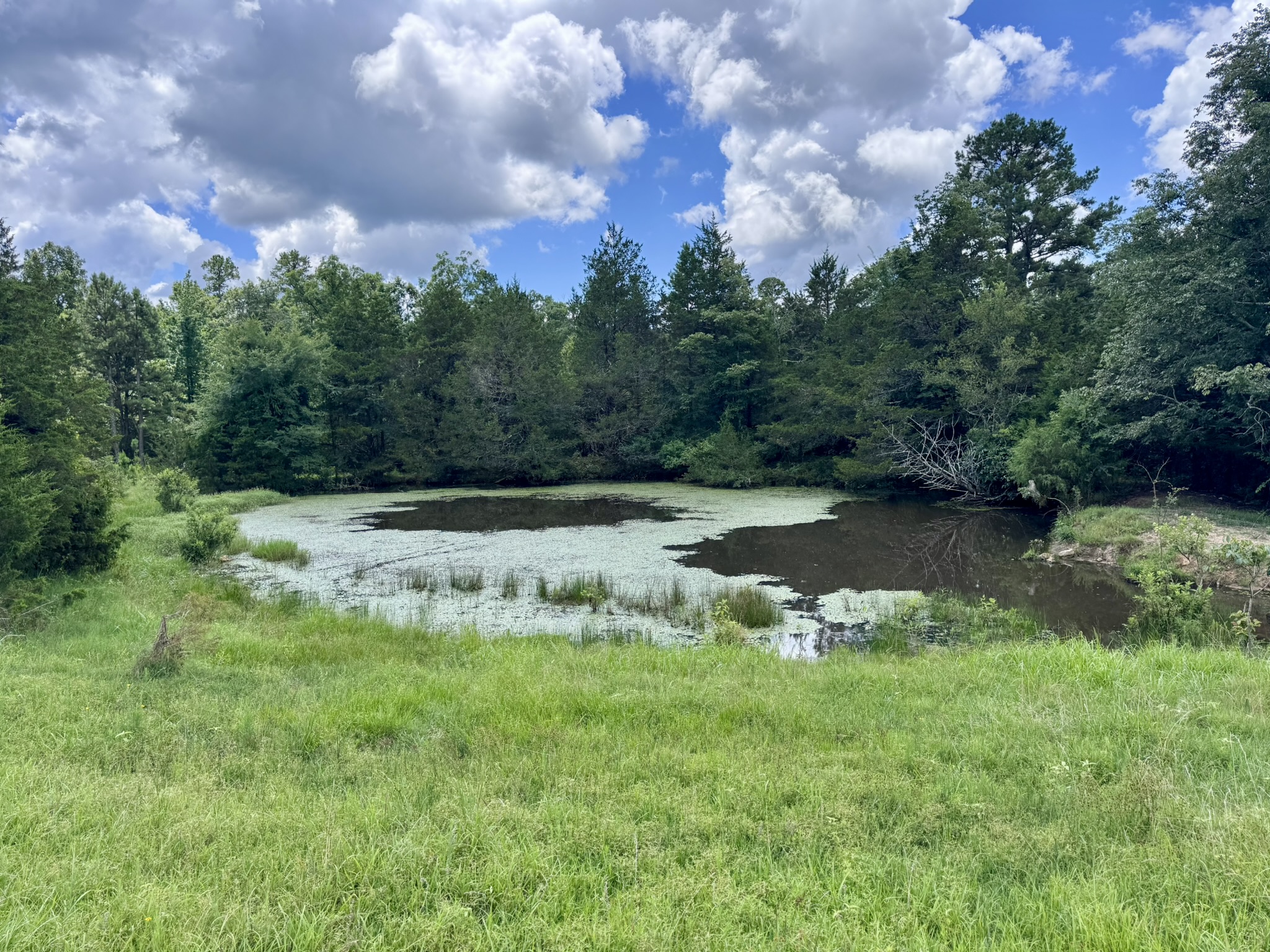 LAND FOR SALE IN THE OZARK MOUNTAINS OF ARKANSAS