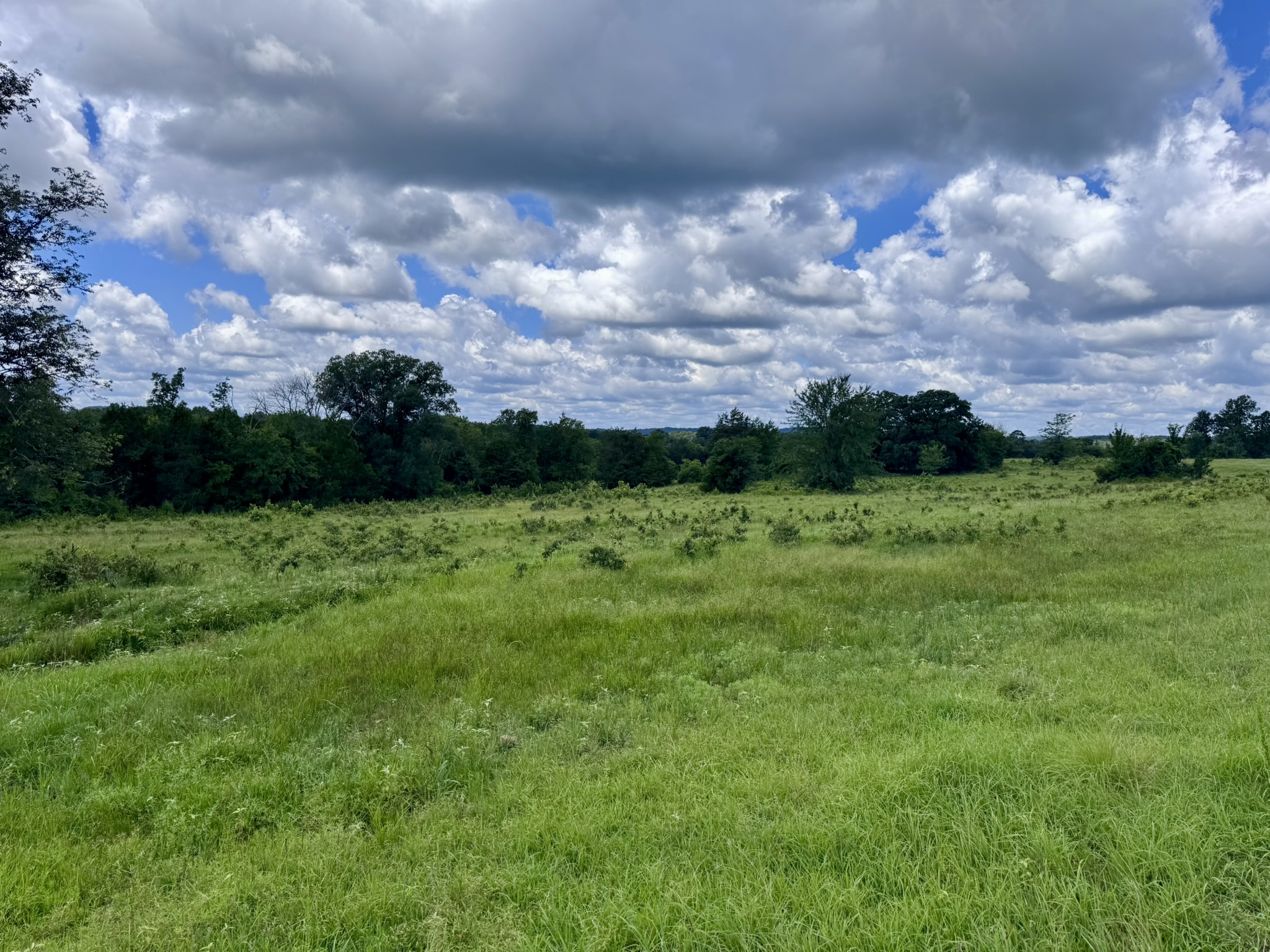 LAND FOR SALE IN THE OZARK MOUNTAINS OF ARKANSAS