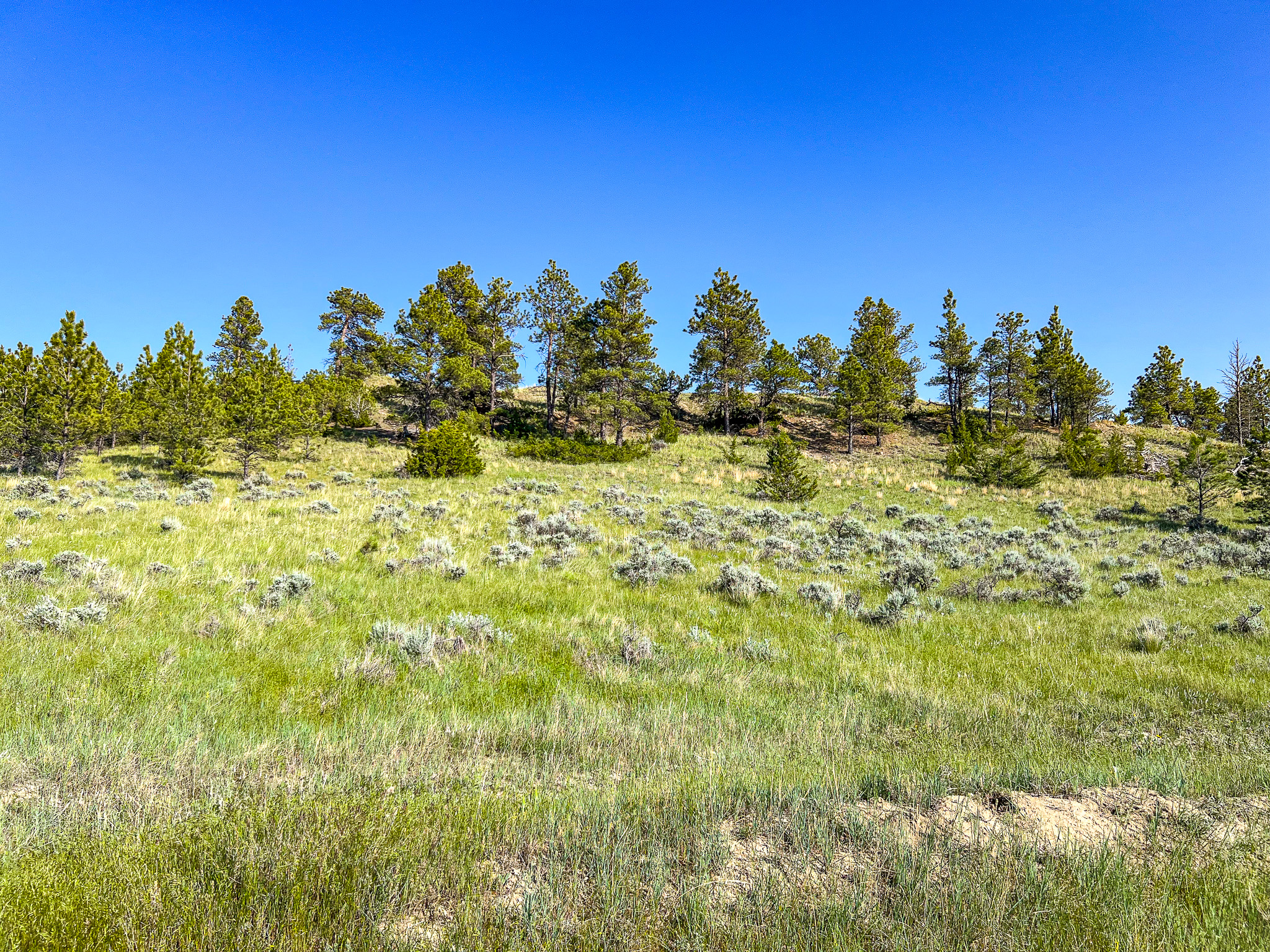 Bull Mountains Elk Camp | Melstone, MT