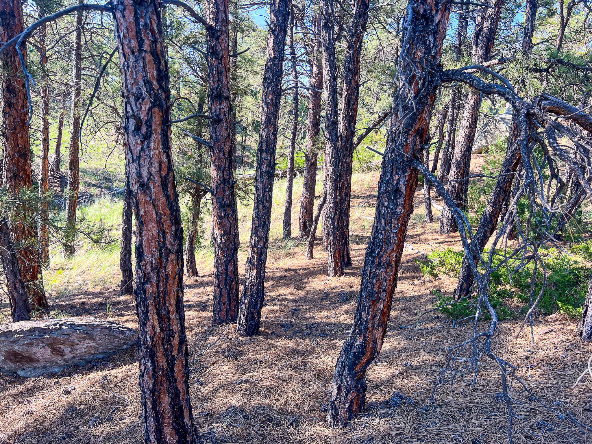 Bull Mountains Elk Camp | Melstone, MT