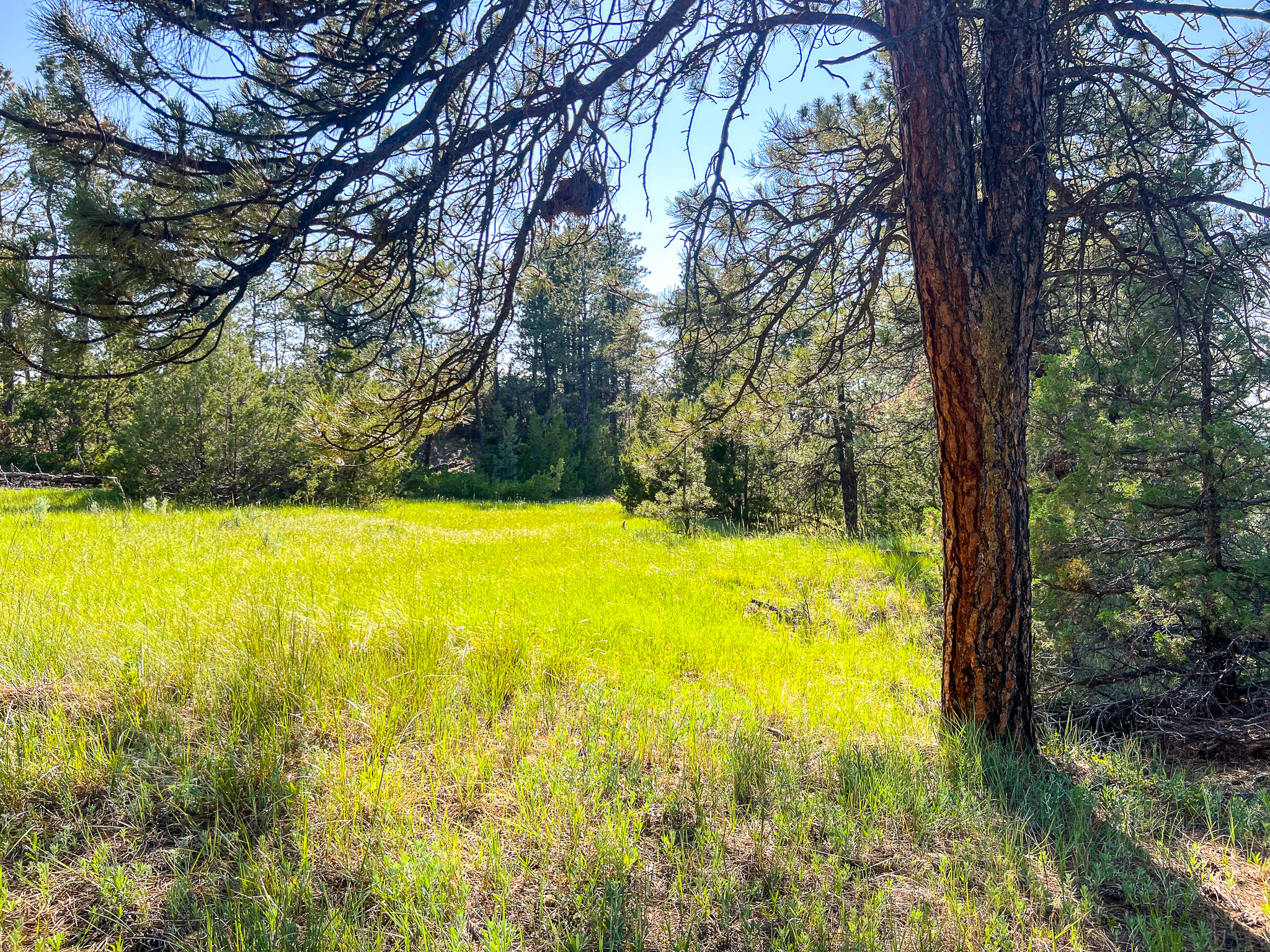 Bull Mountains Elk Camp | Melstone, MT