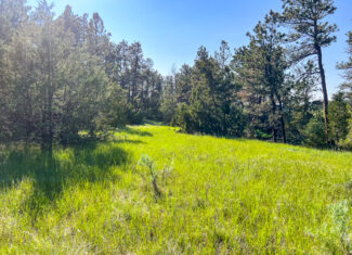 Bull Mountains Elk Camp | Melstone, MT