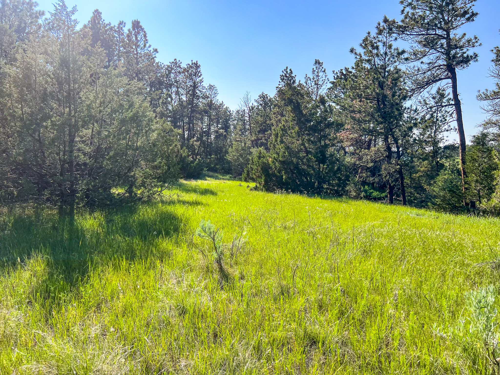 Bull Mountains Elk Camp | Melstone, MT