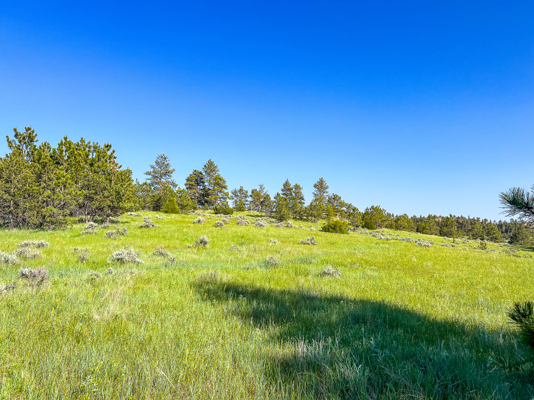 Bull Mountains Elk Camp | Melstone, MT