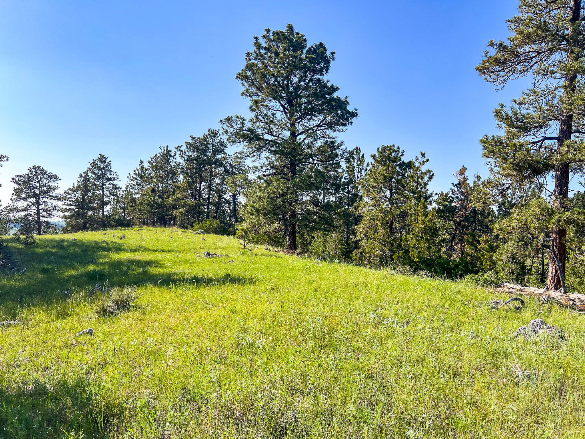 Bull Mountains Elk Camp | Melstone, MT