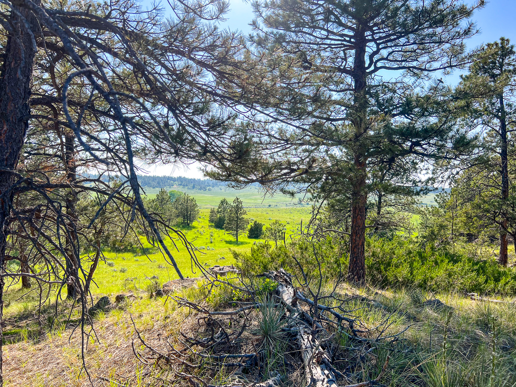 Bull Mountains Elk Camp | Melstone, MT