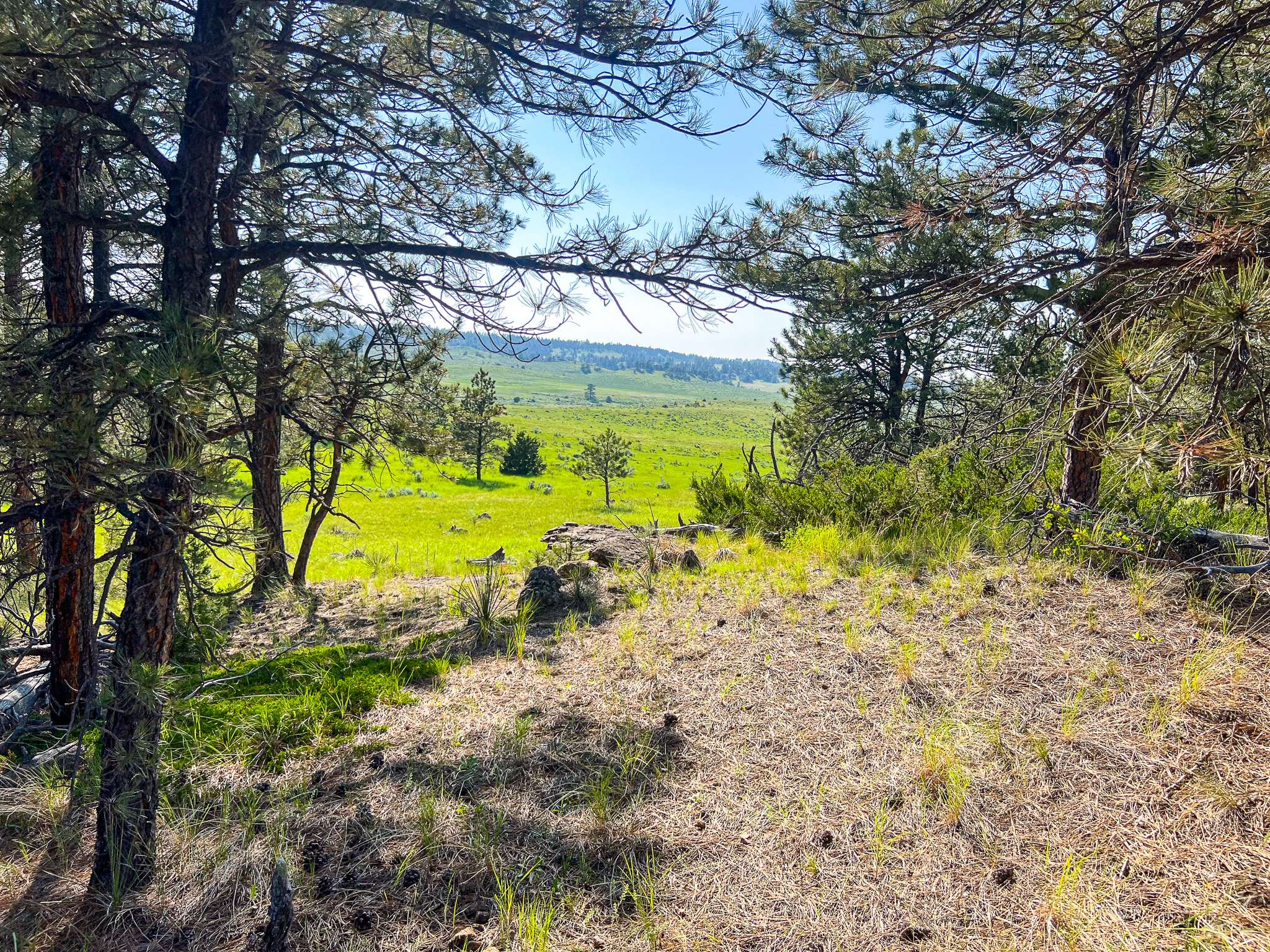 Bull Mountains Elk Camp | Melstone, MT