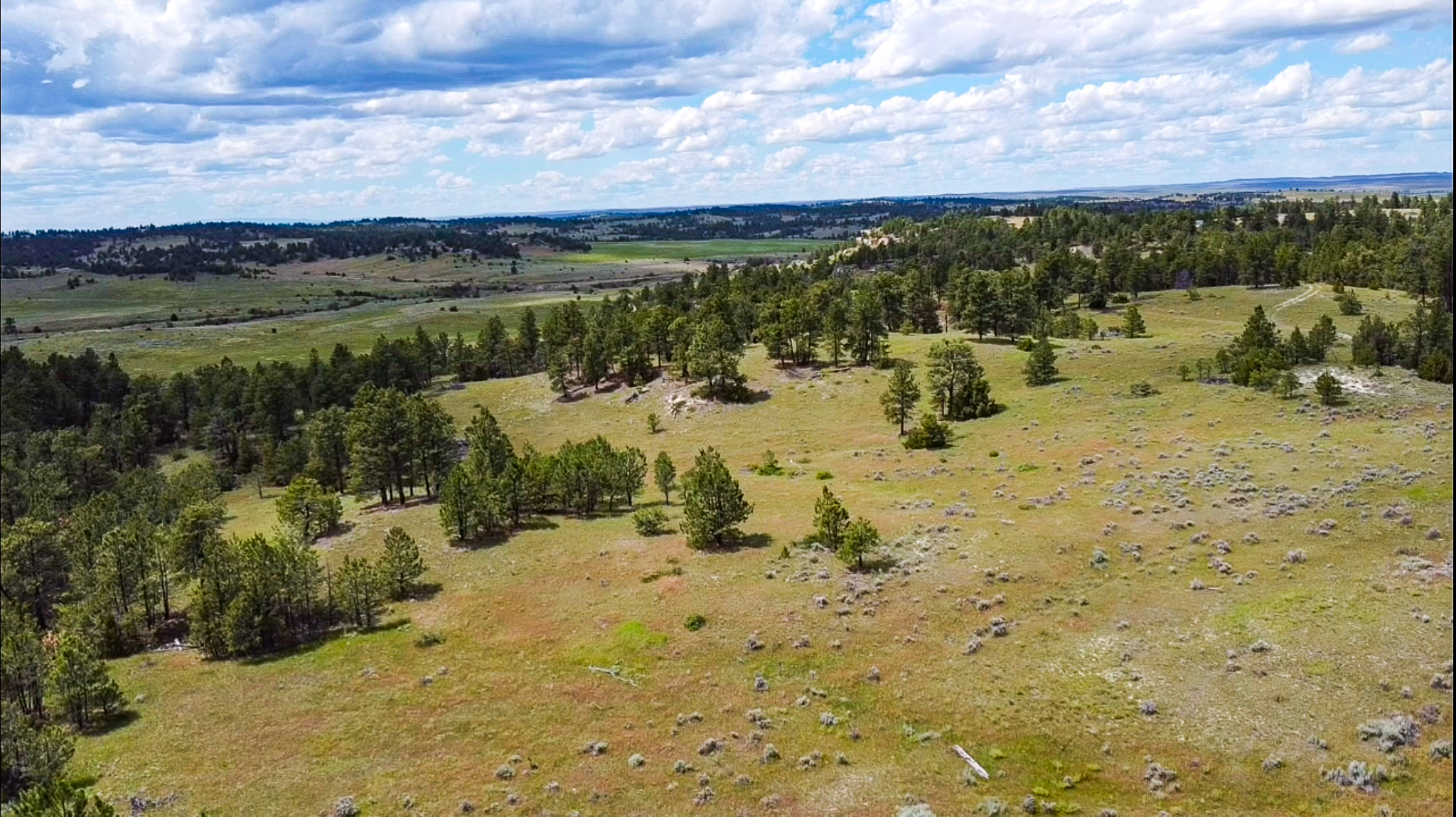 Bull Mountains Elk Camp | Melstone, MT