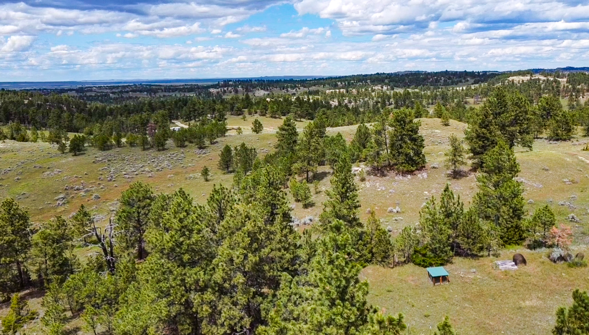 Bull Mountains Elk Camp | Melstone, MT