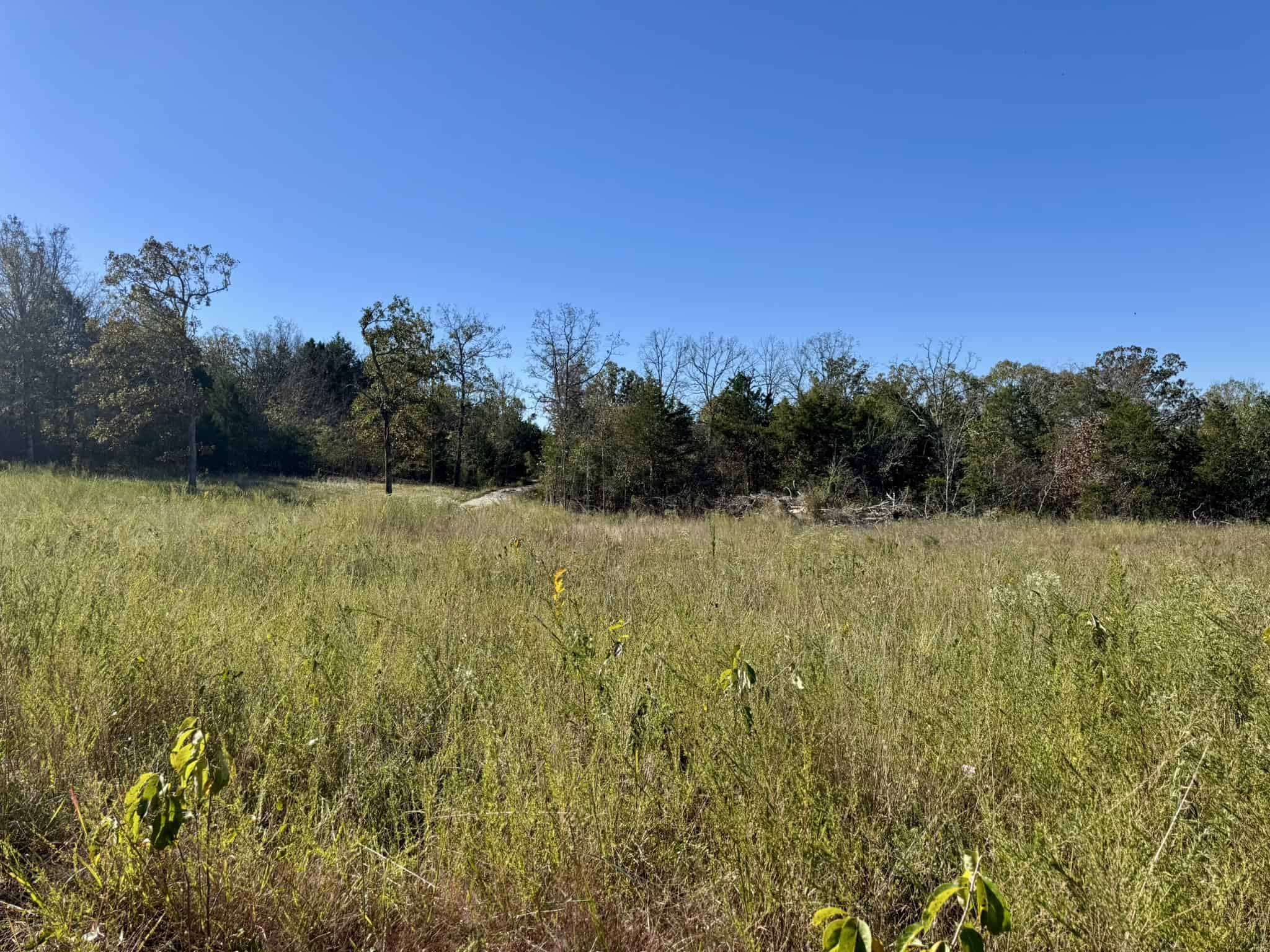 LAND FOR SALE IN NORTH CENTRAL ARKANSAS