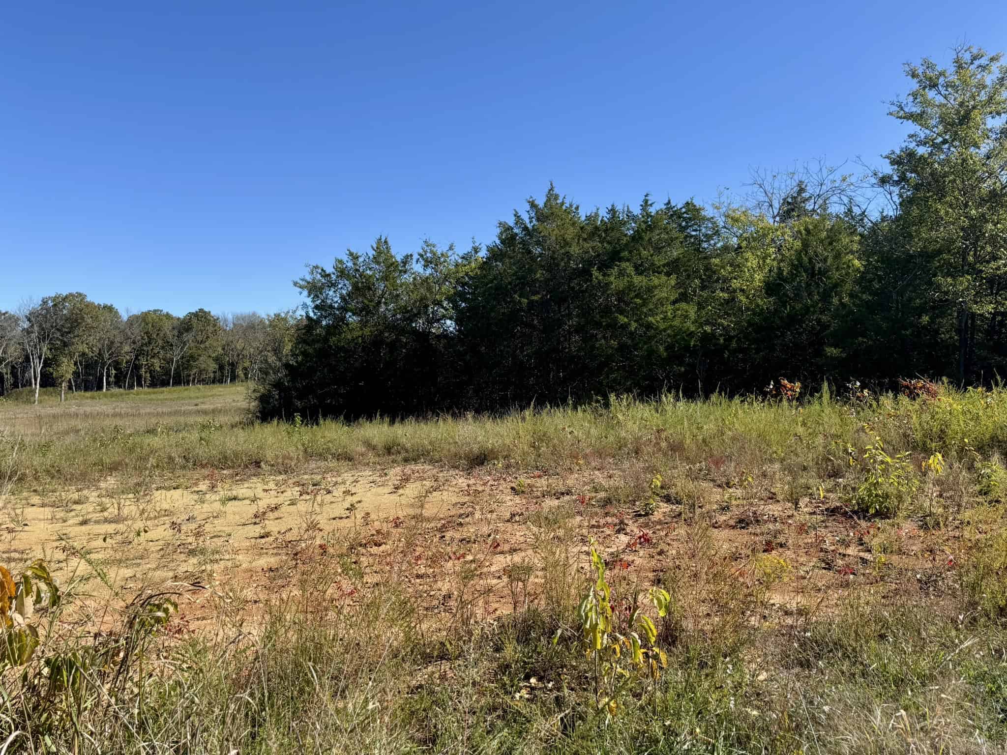 LAND FOR SALE IN NORTH CENTRAL ARKANSAS