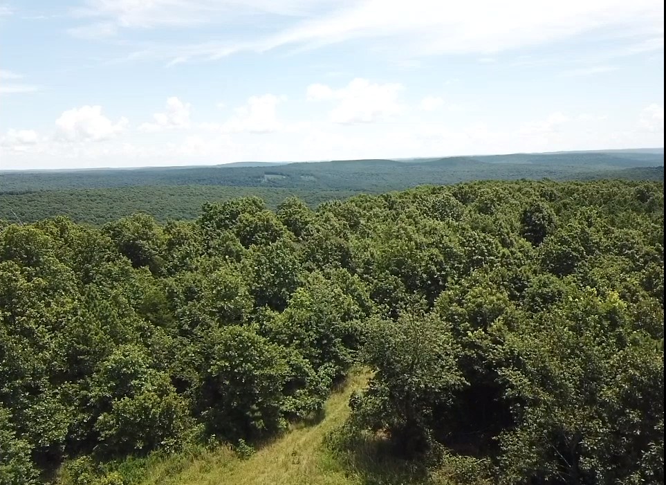 134 Acres For Sale in the Ozark Mountains