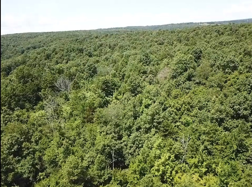 134 Acres For Sale in the Ozark Mountains