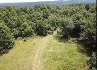 134 Acres For Sale in the Ozark Mountains