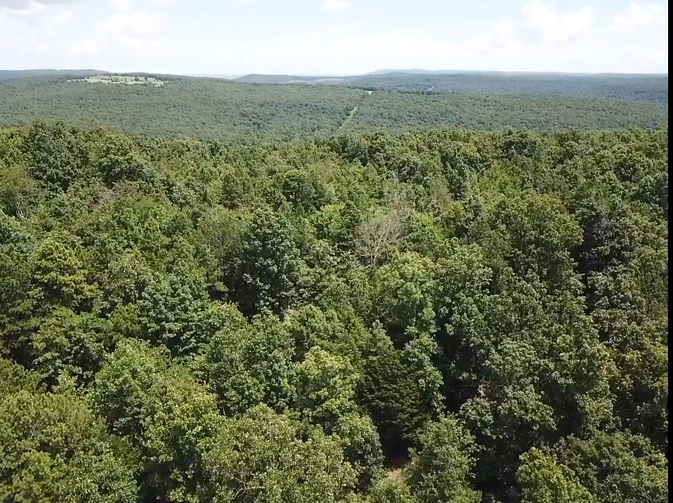 134 Acres For Sale in the Ozark Mountains