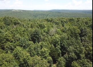 134 Acres For Sale in the Ozark Mountains