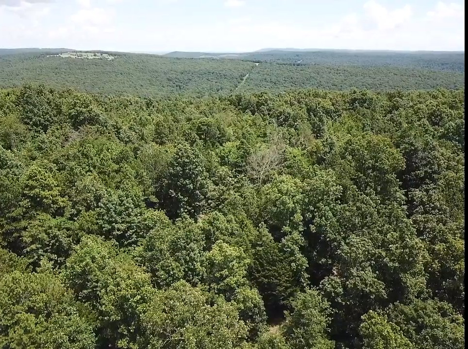 134 Acres For Sale in the Ozark Mountains