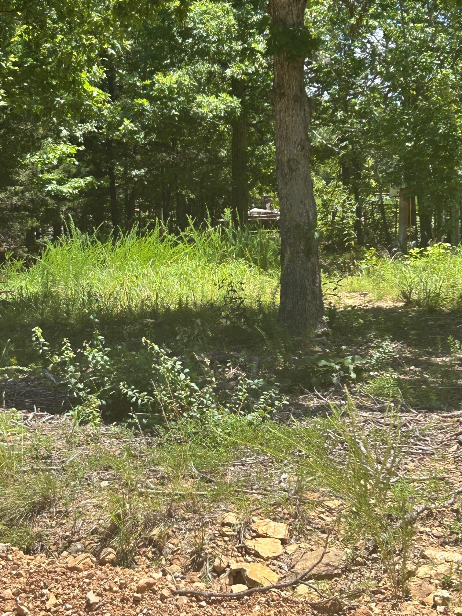 134 Acres For Sale in the Ozark Mountains