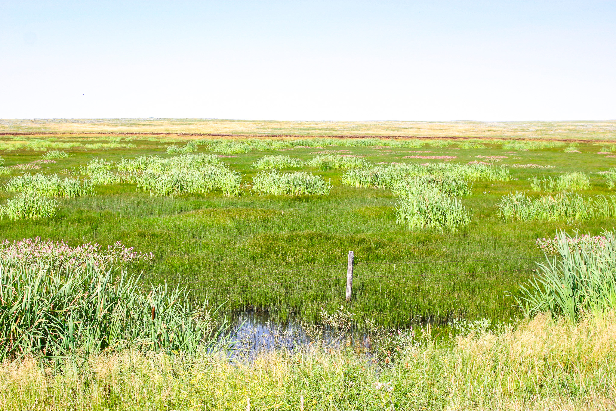 Pintail Ranch | Phillips County, Montana
