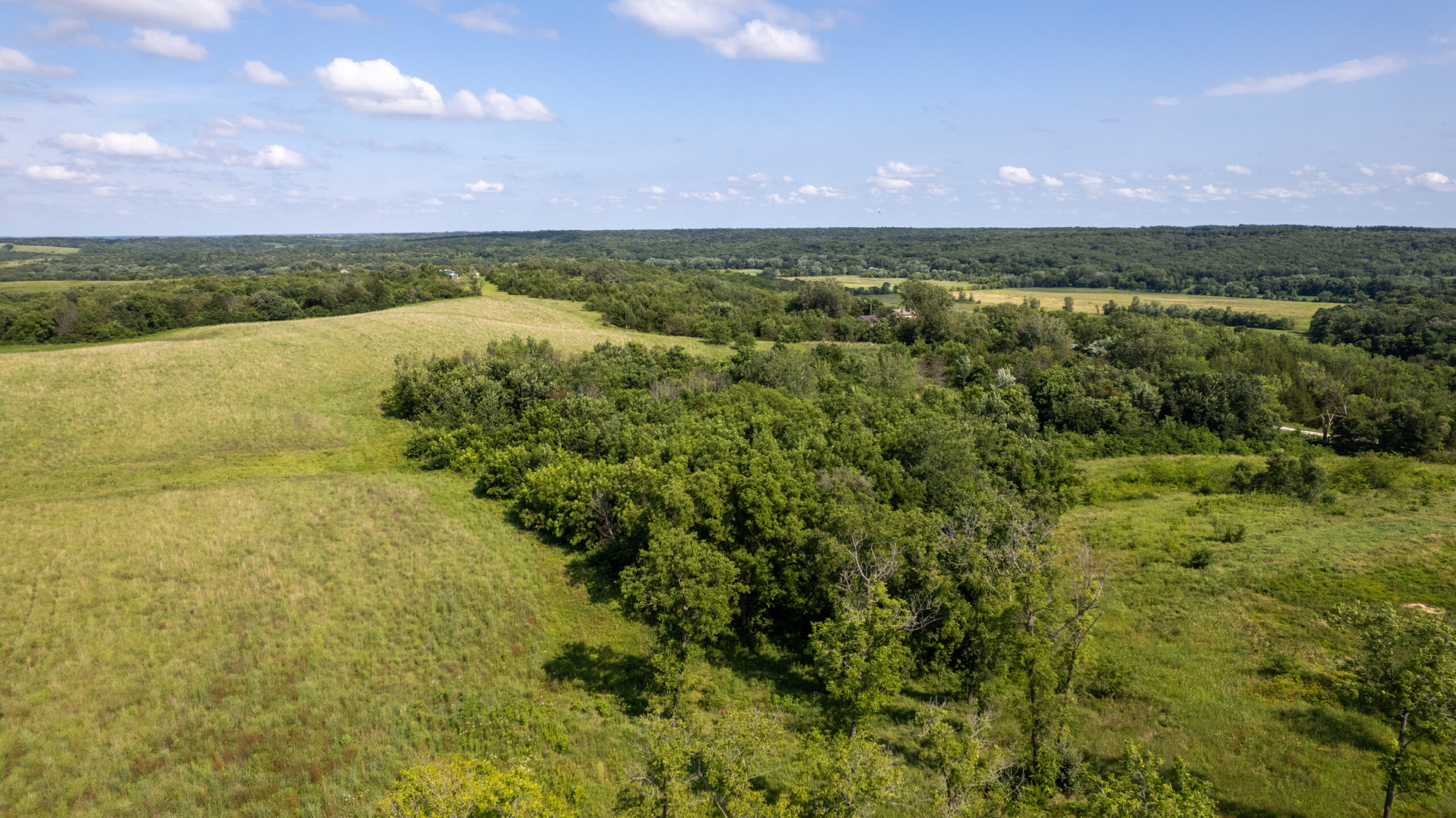 20± Acres – Lucas County, Iowa Building Site • Hunting Opportunity • Near Public Access