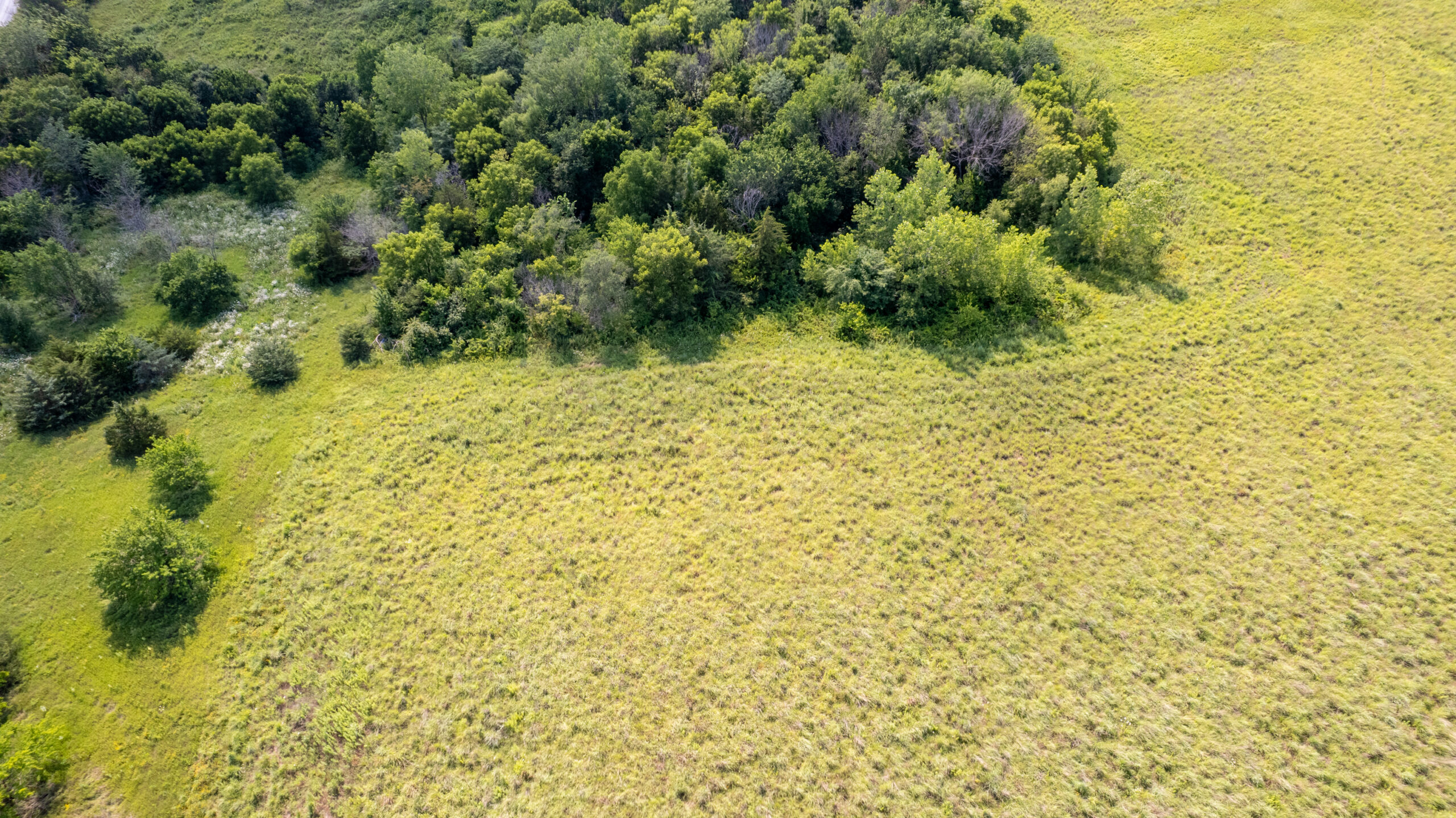 20± Acres – Lucas County, Iowa Building Site • Hunting Opportunity • Near Public Access