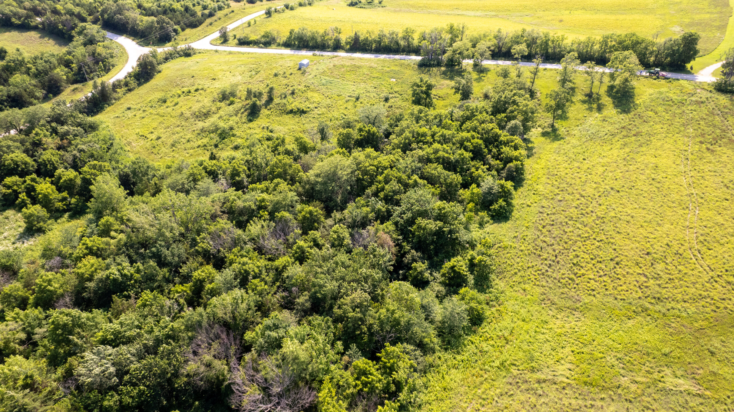 20± Acres – Lucas County, Iowa Building Site • Hunting Opportunity • Near Public Access