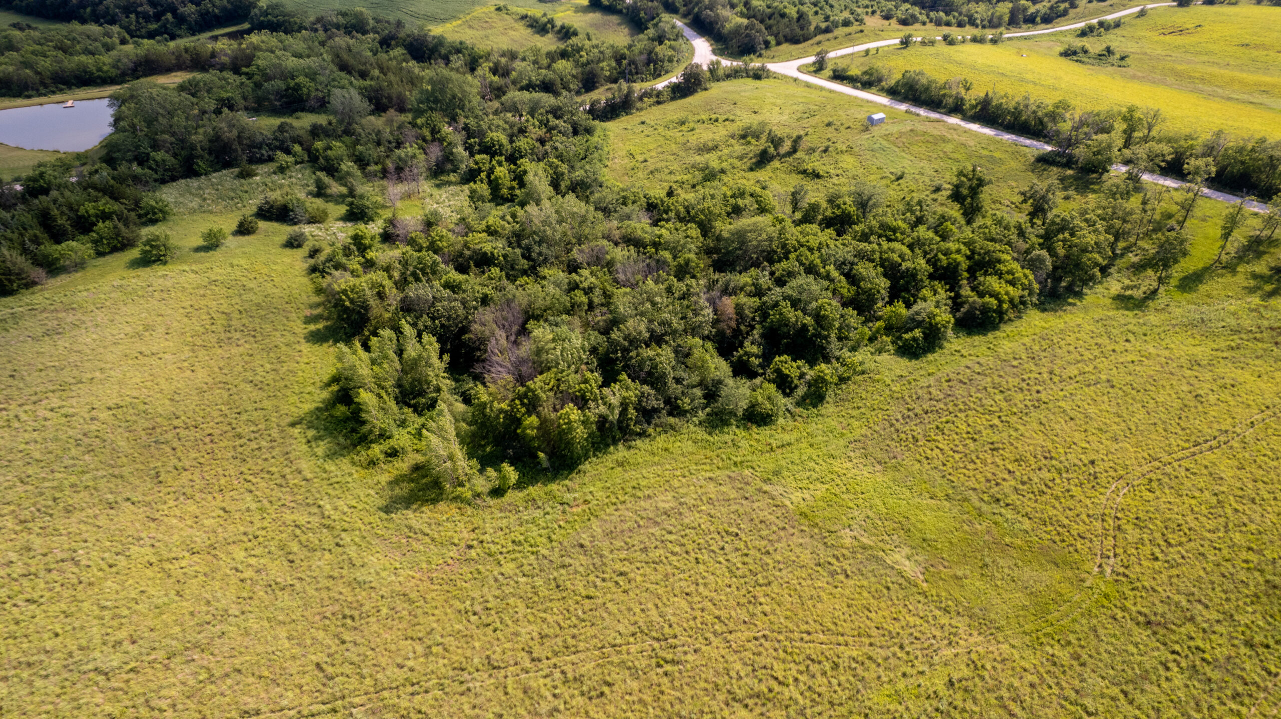 20± Acres – Lucas County, Iowa Building Site • Hunting Opportunity • Near Public Access