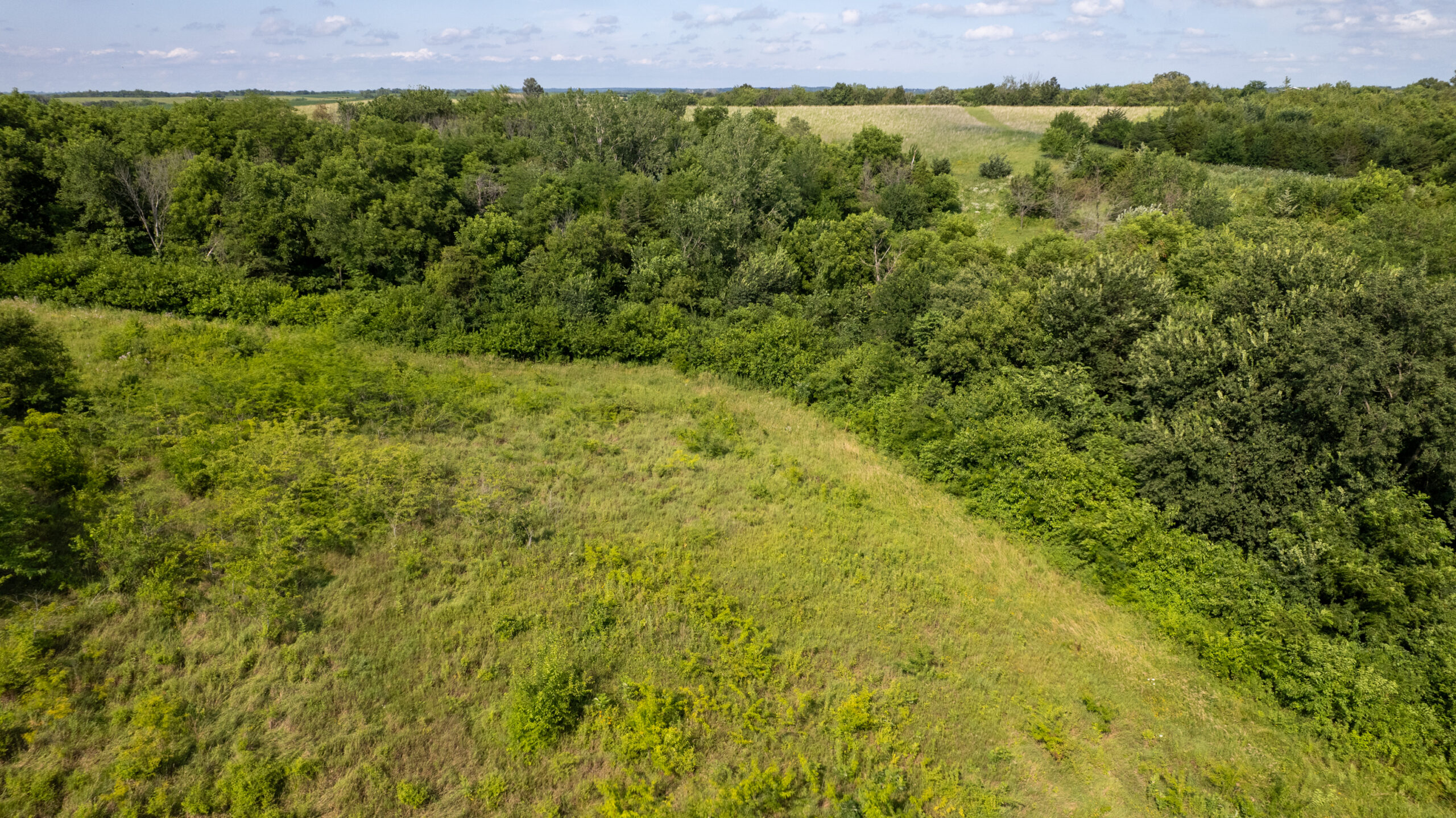 20± Acres – Lucas County, Iowa Building Site • Hunting Opportunity • Near Public Access
