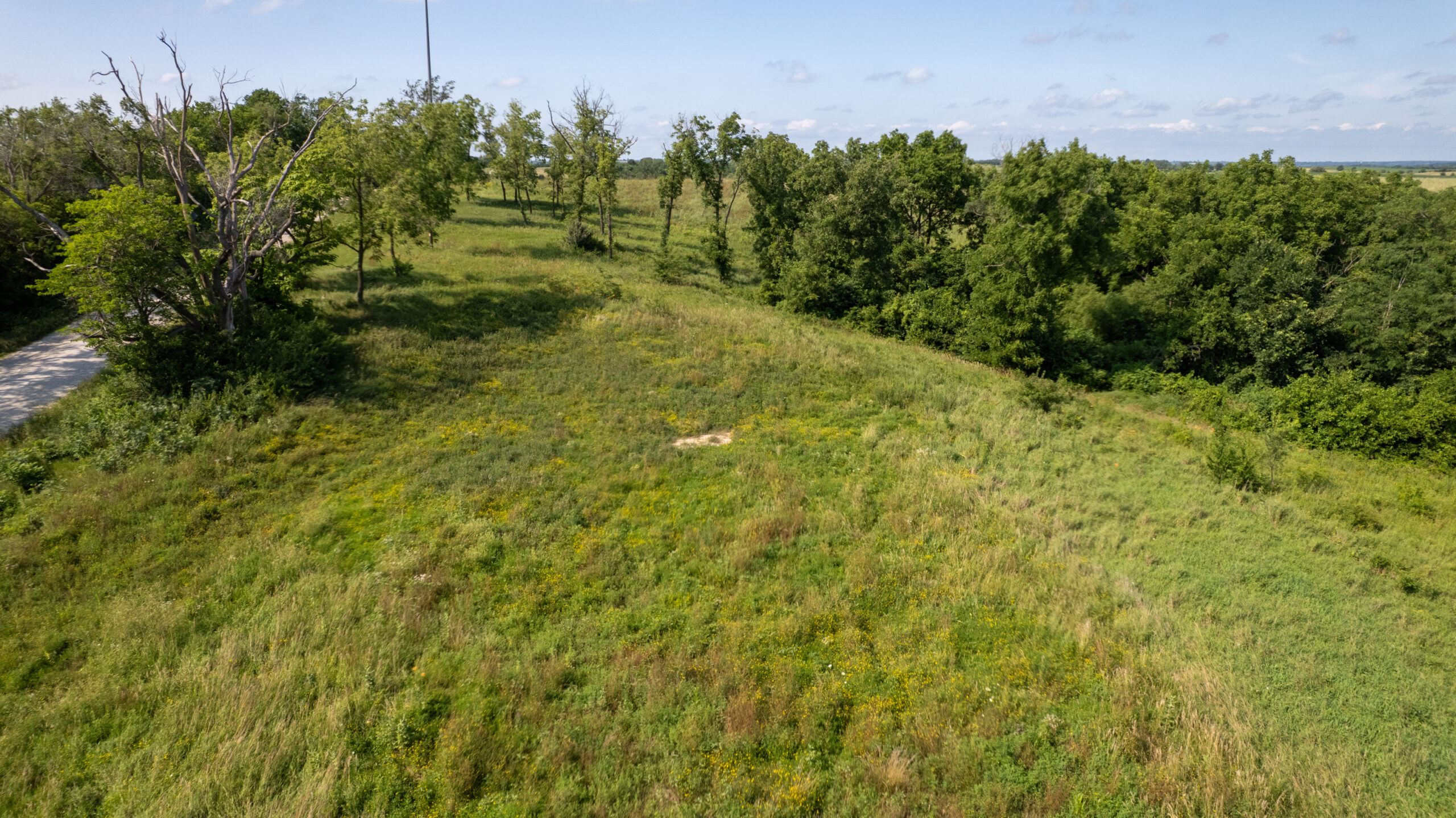 20± Acres – Lucas County, Iowa Building Site • Hunting Opportunity • Near Public Access