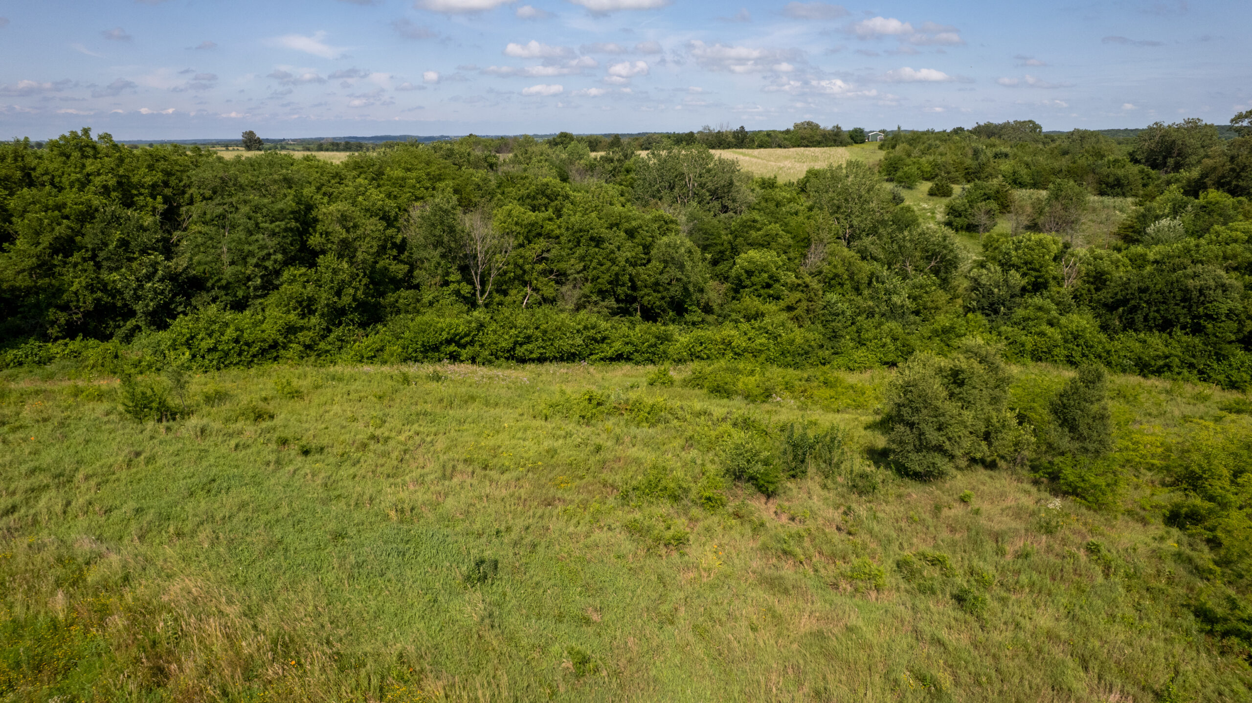 20± Acres – Lucas County, Iowa Building Site • Hunting Opportunity • Near Public Access