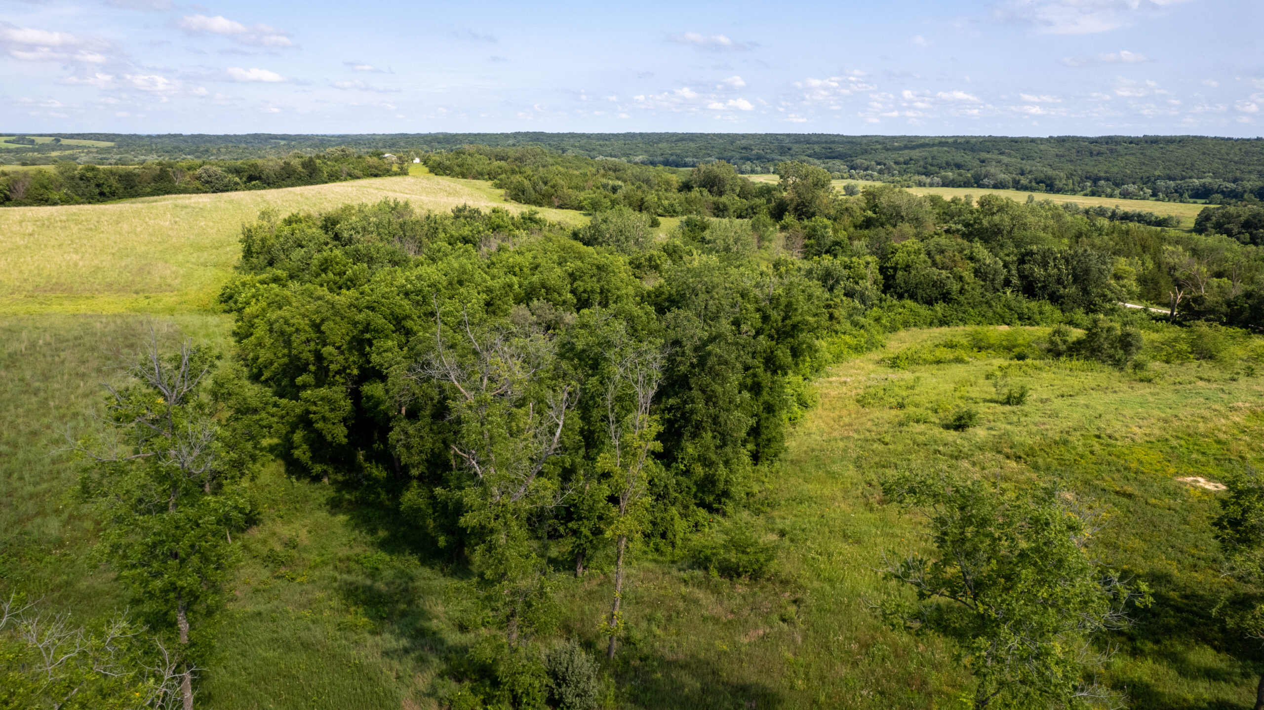 20± Acres – Lucas County, Iowa Building Site • Hunting Opportunity • Near Public Access